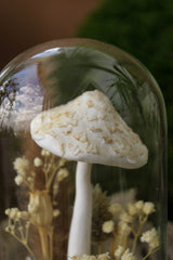 Parasol Mushroom Terrarium