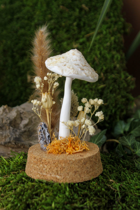 Parasol Mushroom Terrarium