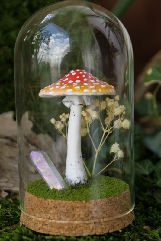 Amanita Muscaria Terrarium