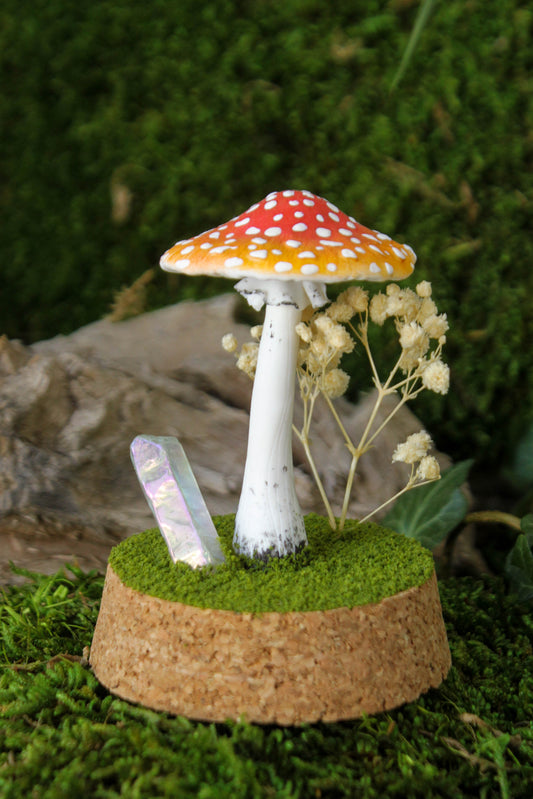 Amanita Muscaria Terrarium