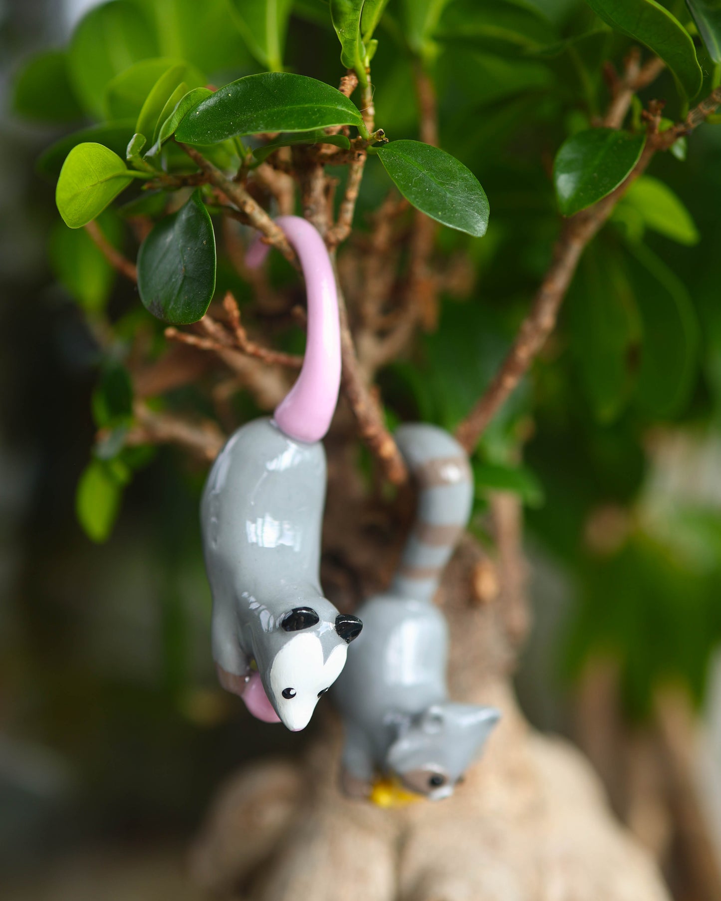 Opossum Plant Friend