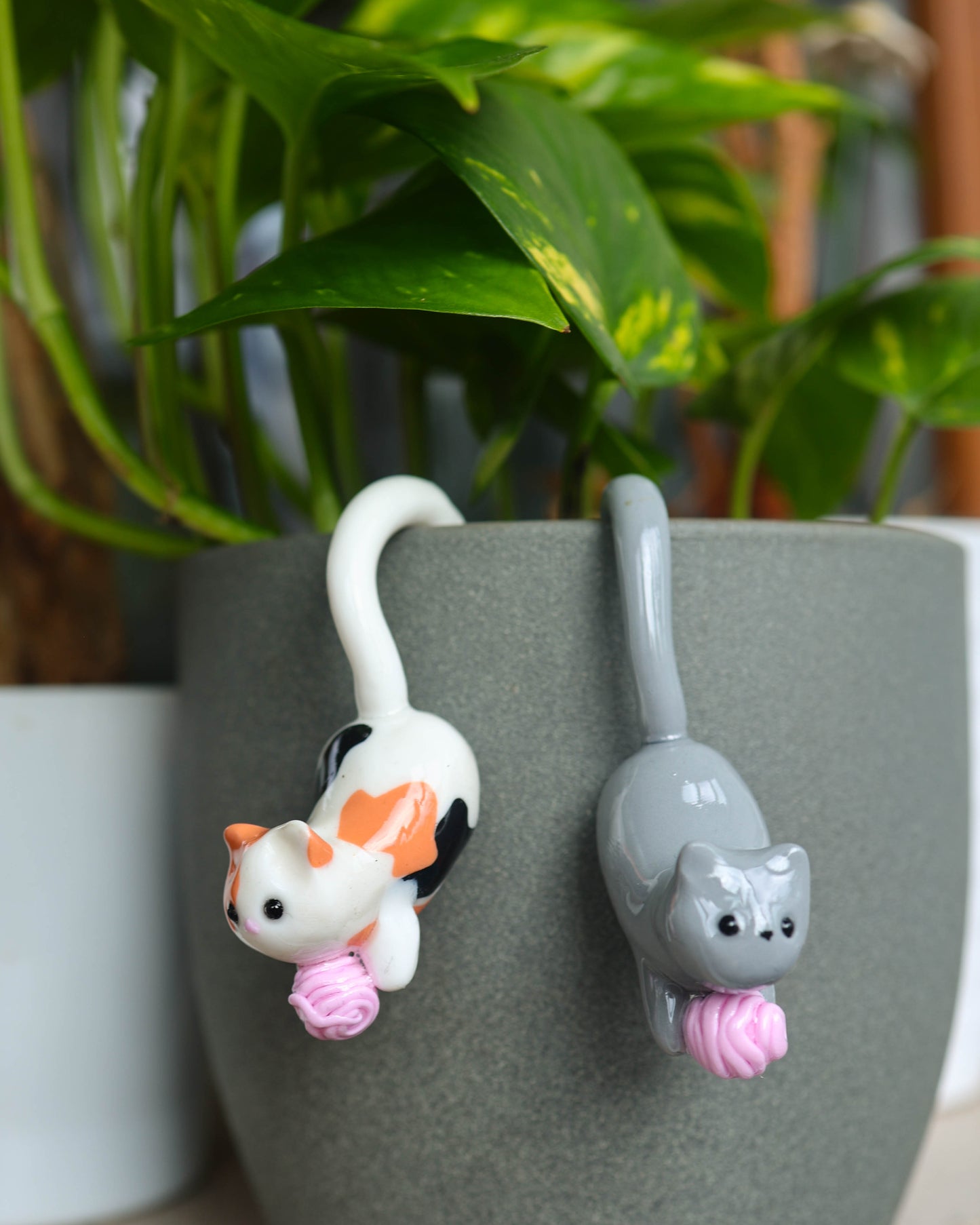 Cat Plant Friend