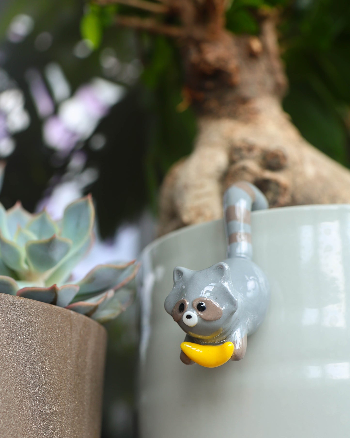 Raccoon Plant Friend
