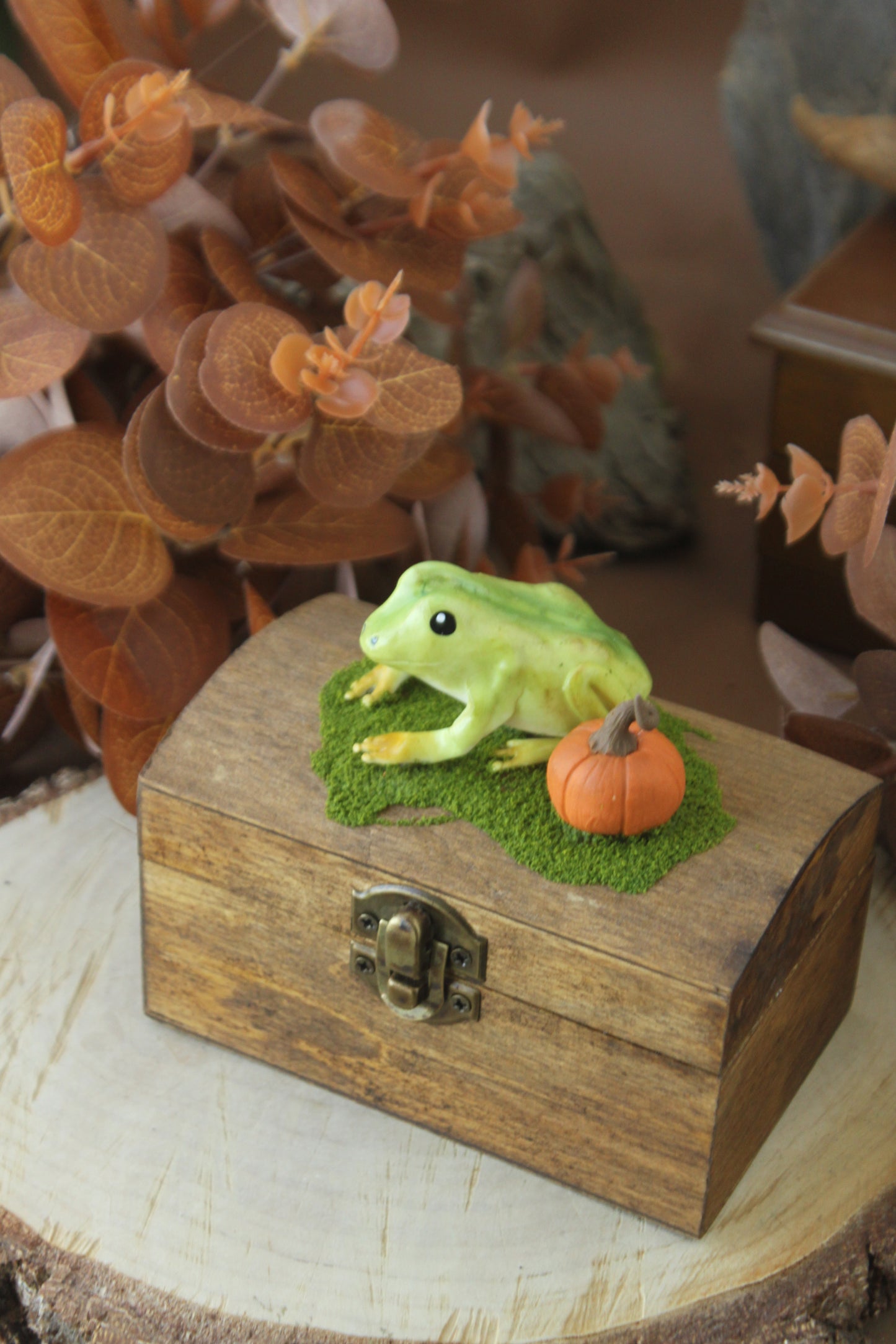 Frog Halloween Spooky Box