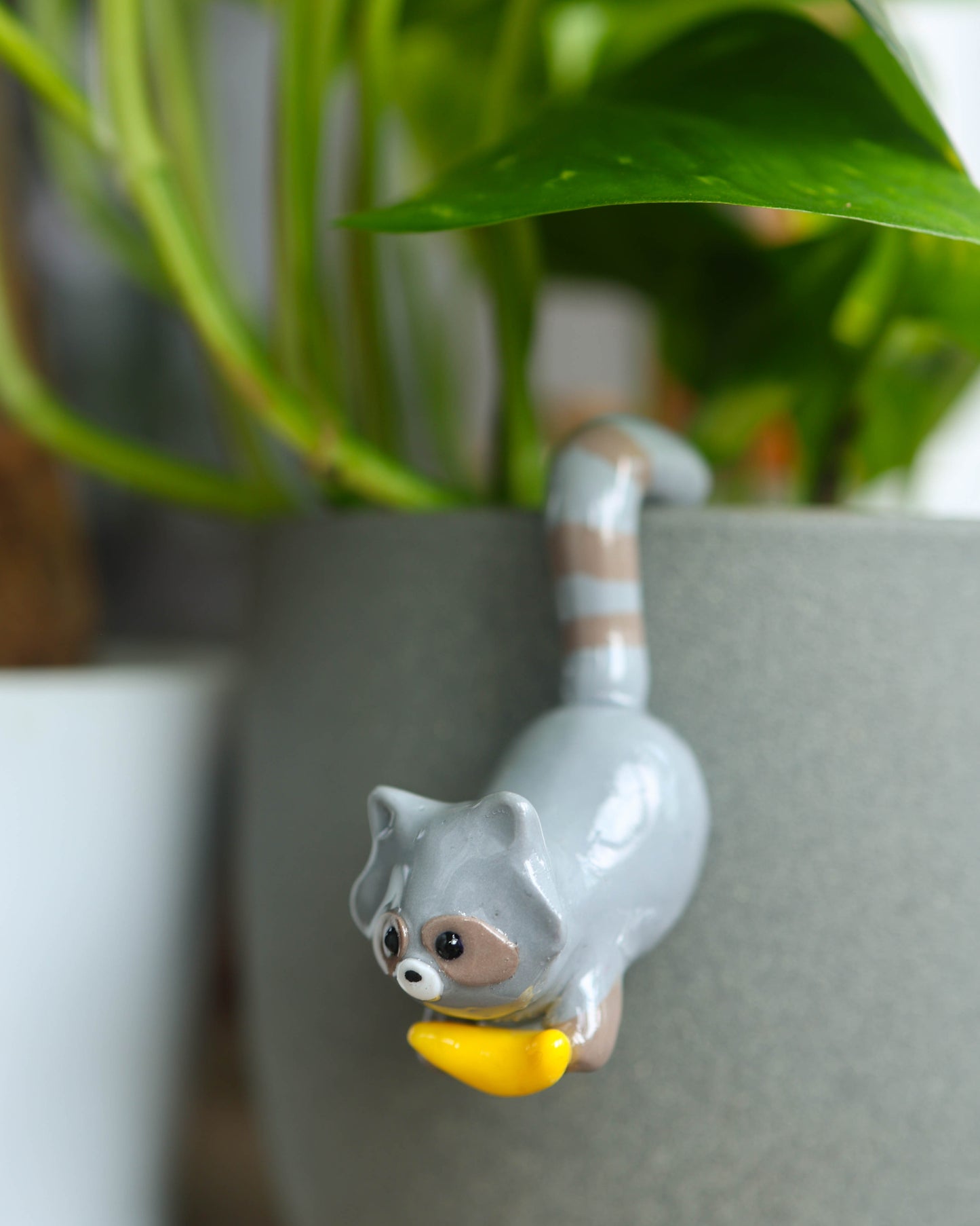 Raccoon Plant Friend
