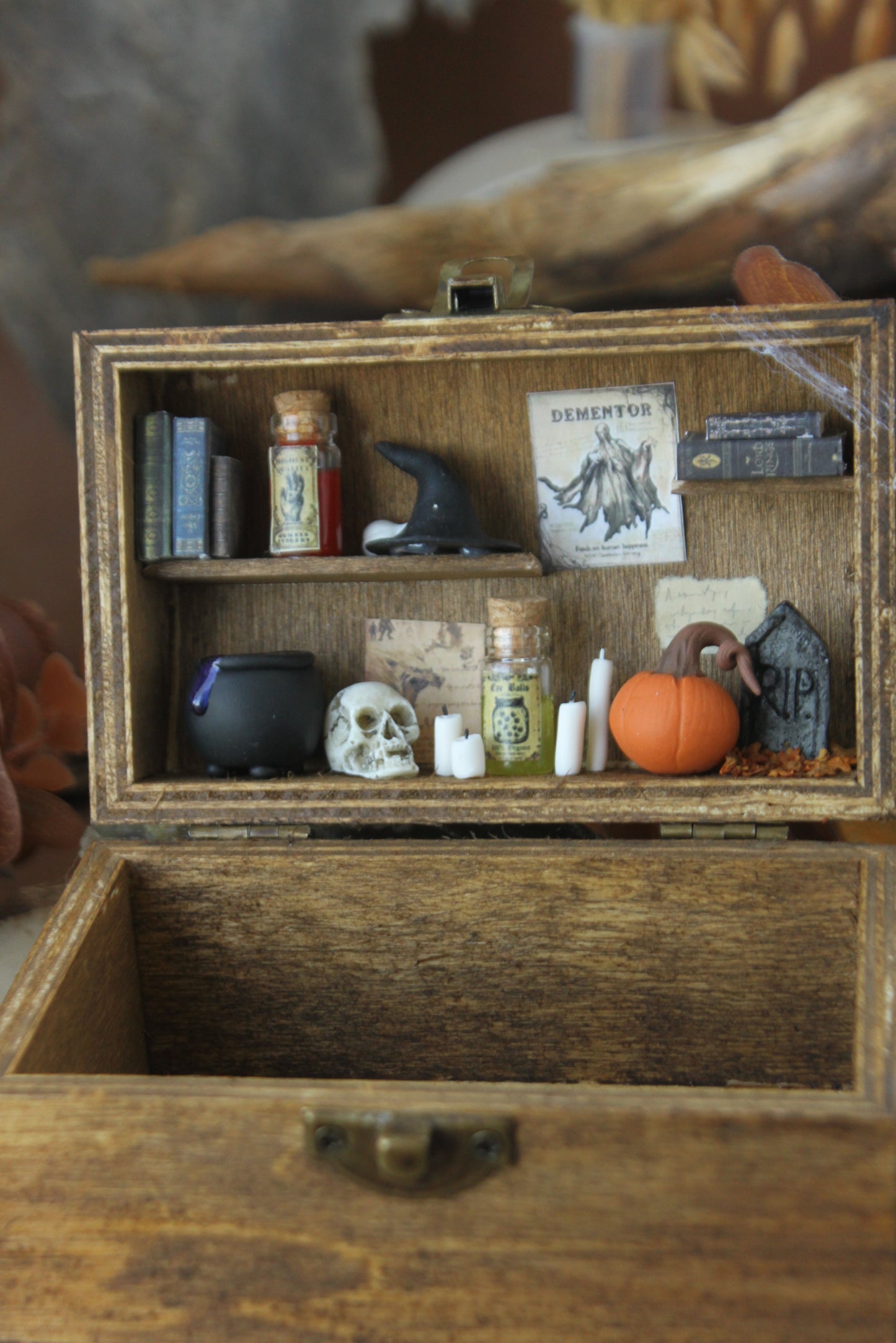 Frog Halloween Spooky Box