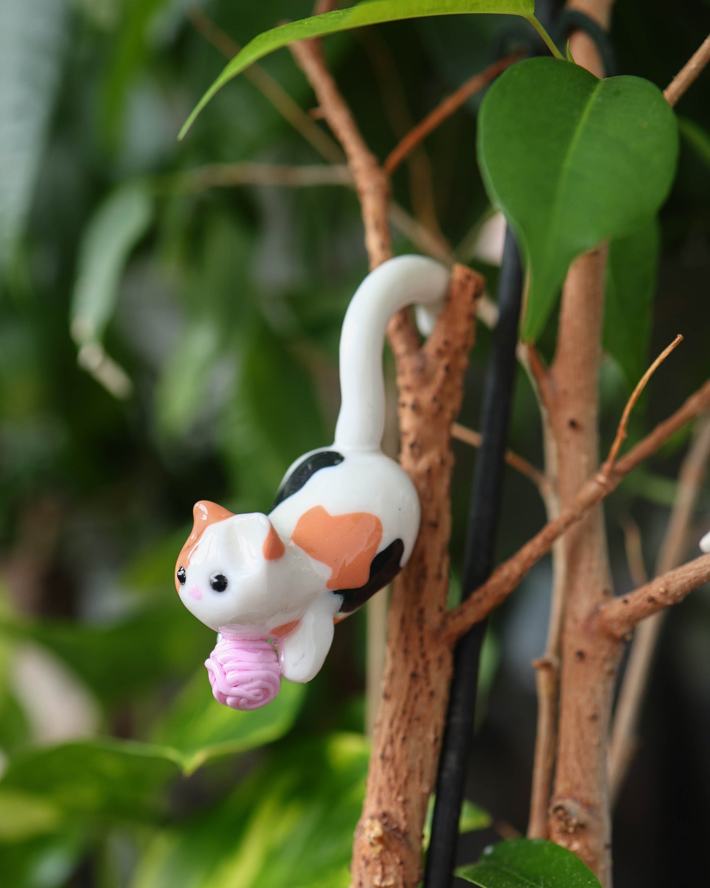 Cat Plant Friend
