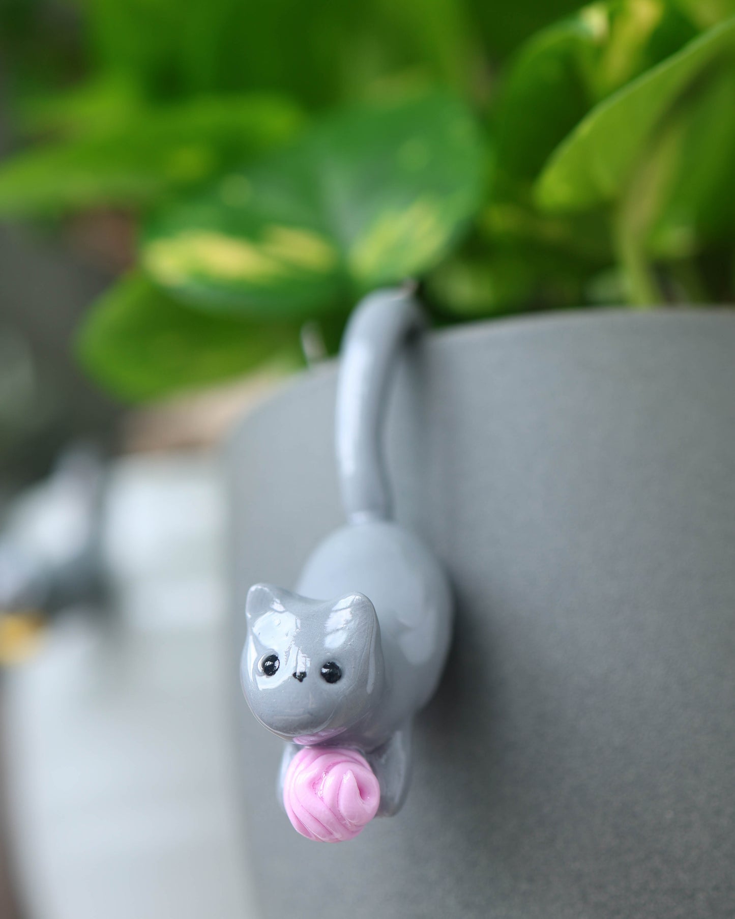 Cat Plant Friend