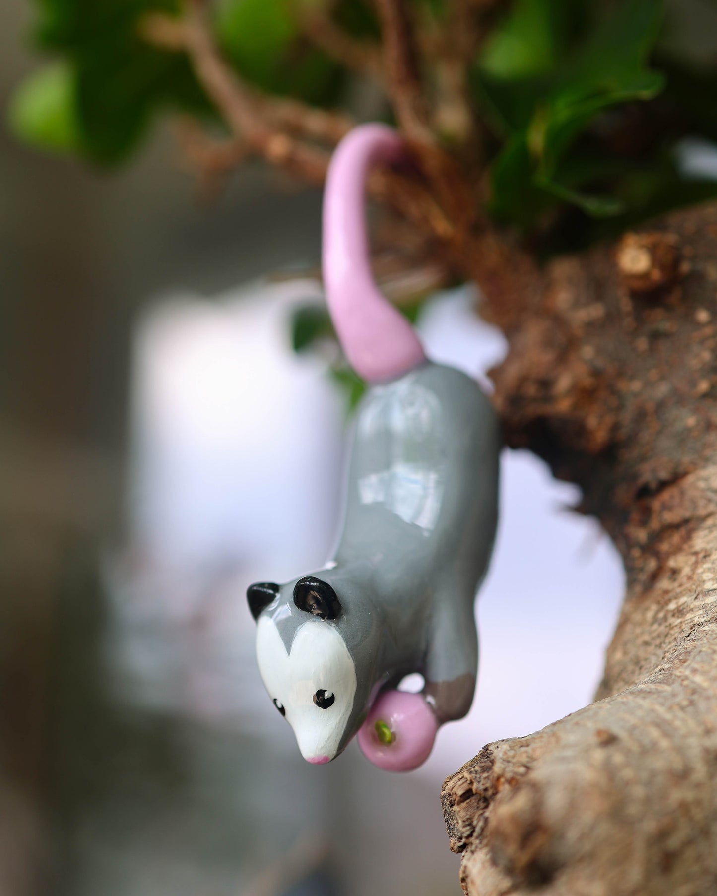 Opossum Plant Friend