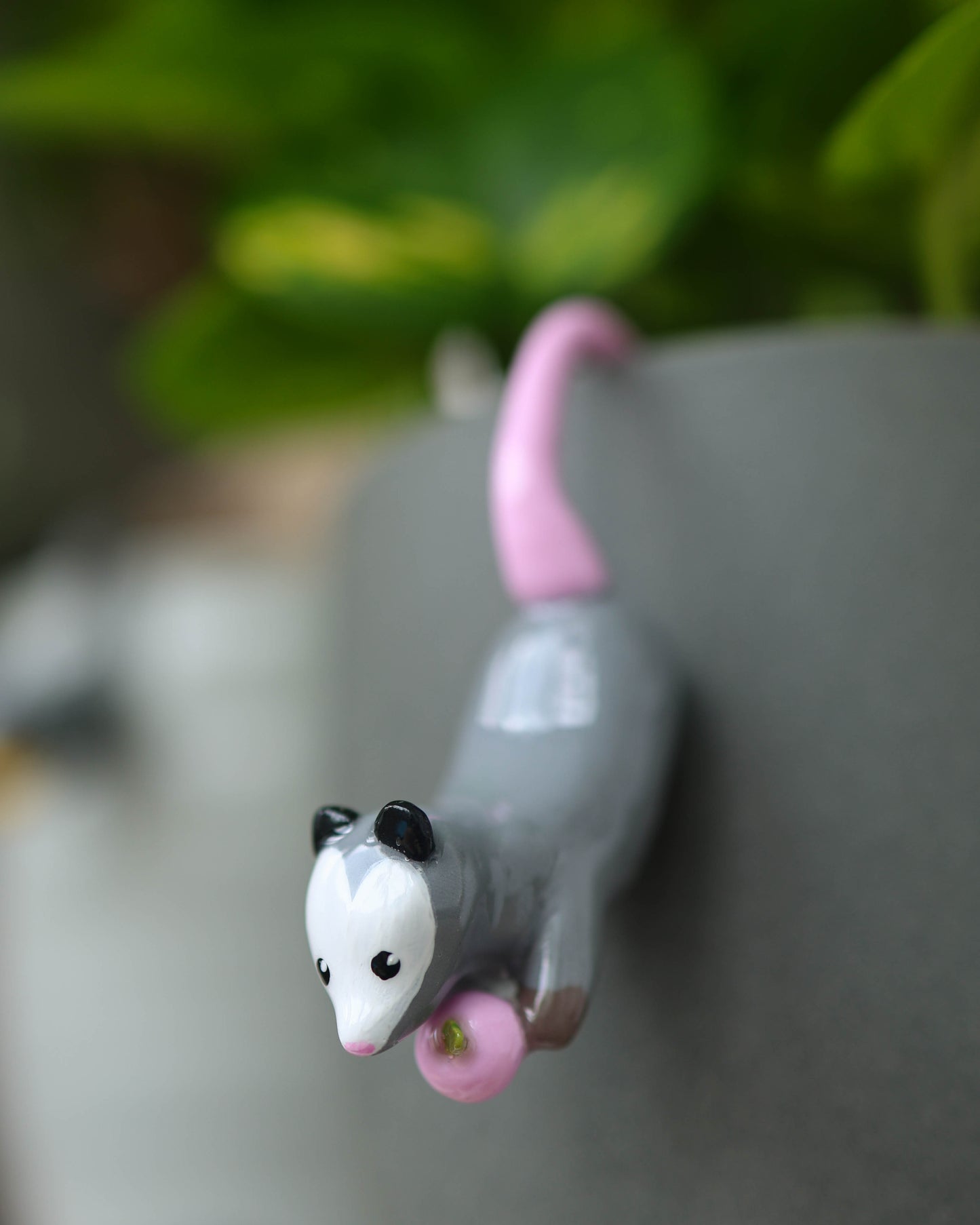 Opossum Plant Friend