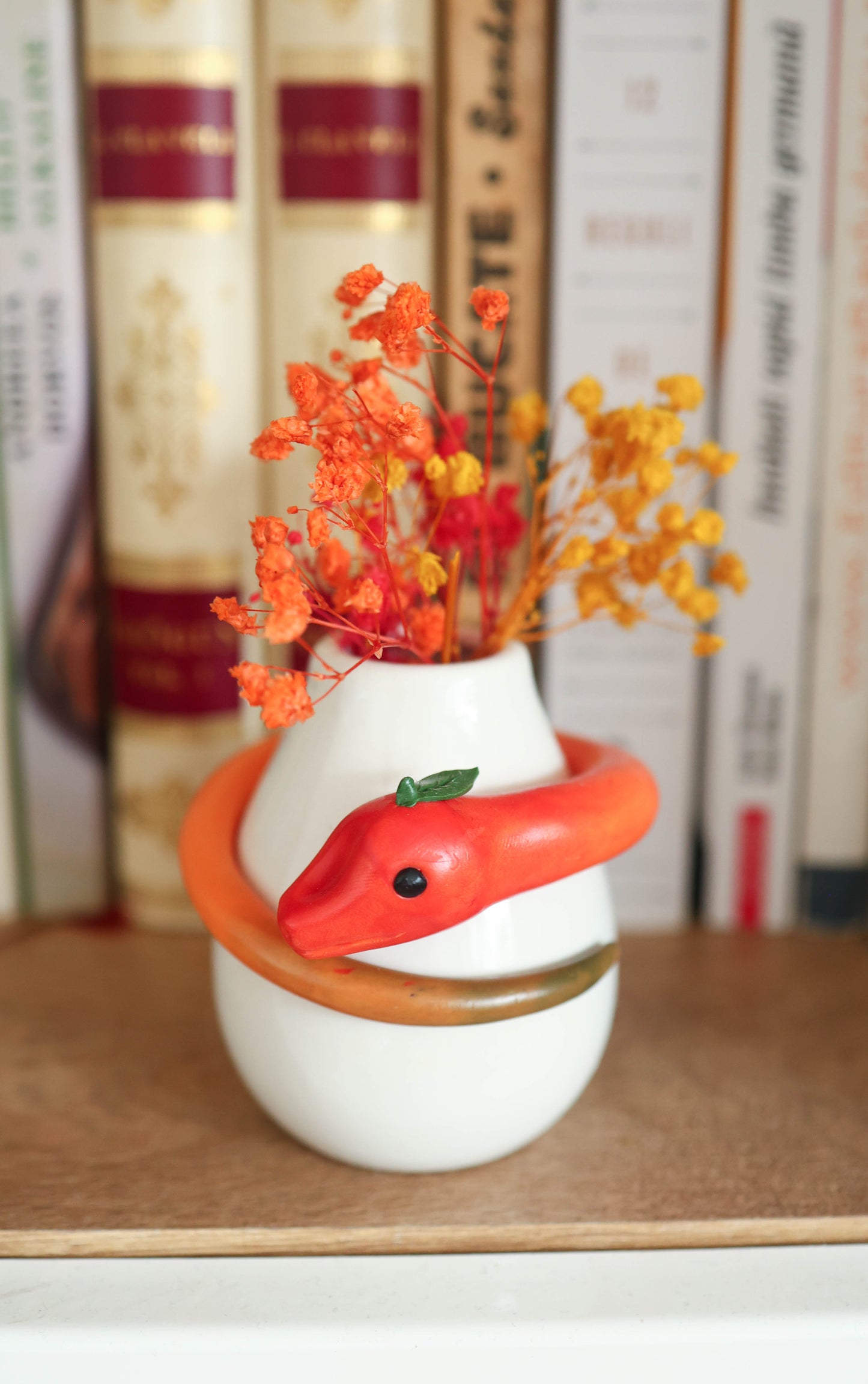 Mambango- Snake Plant Pot