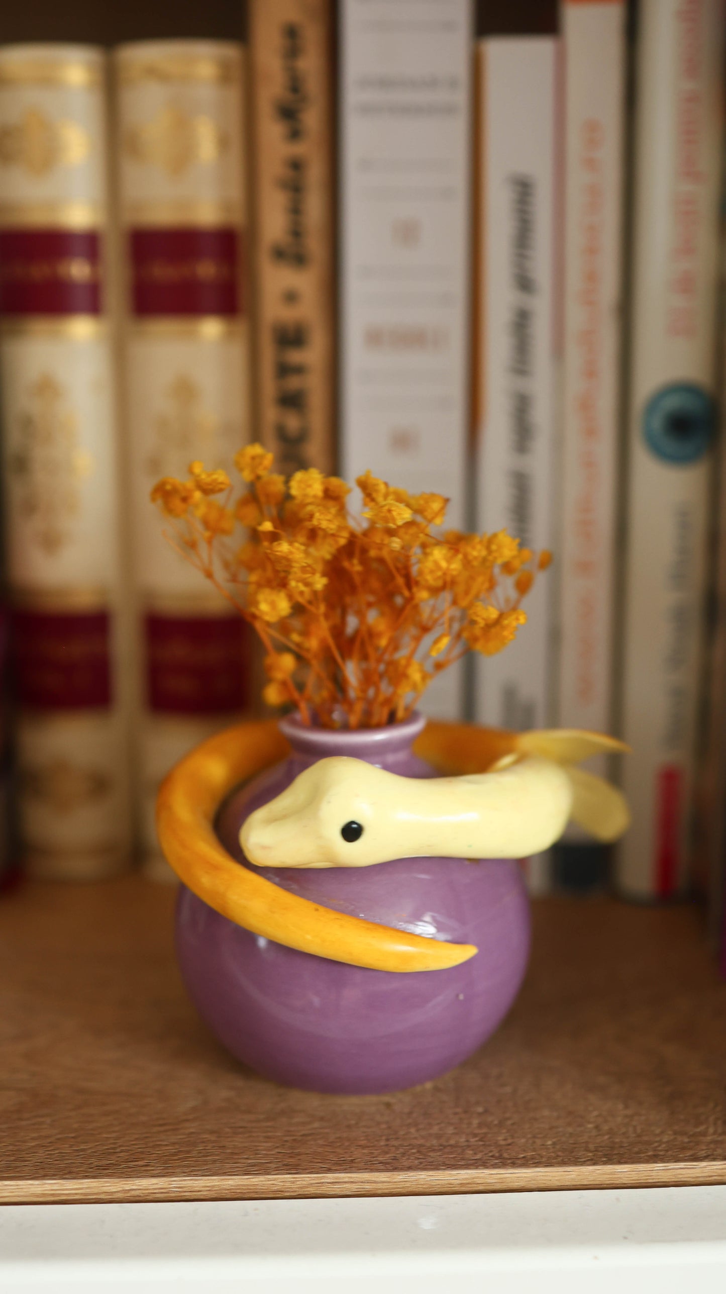 Bananaconda- Snake Plant Pot