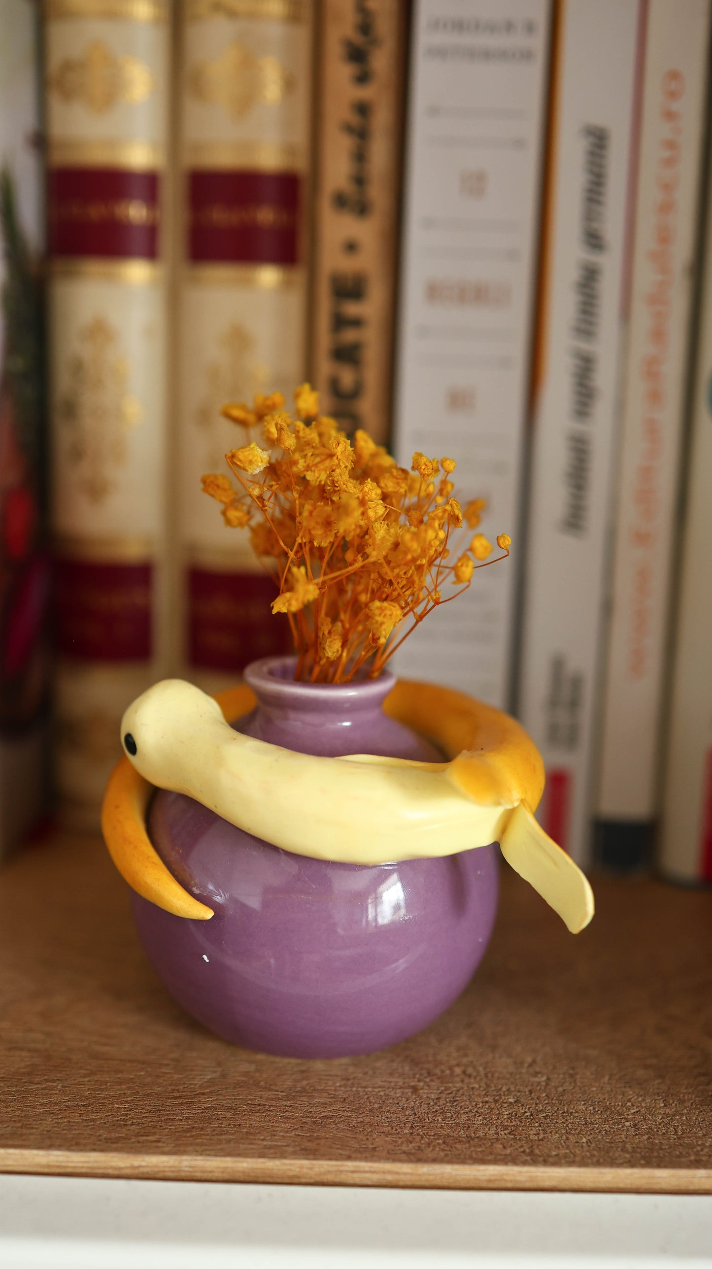 Bananaconda- Snake Plant Pot
