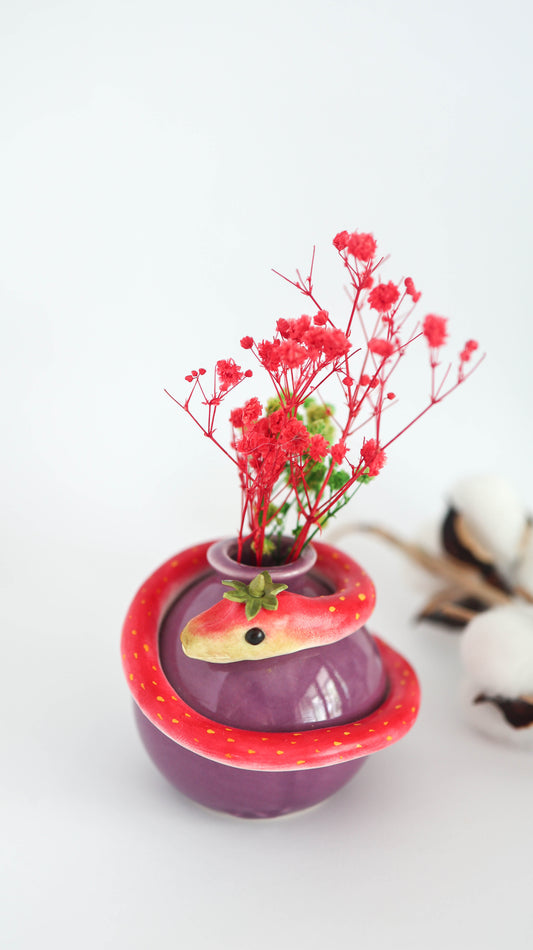 ViperBerry- Snake Plant Pot