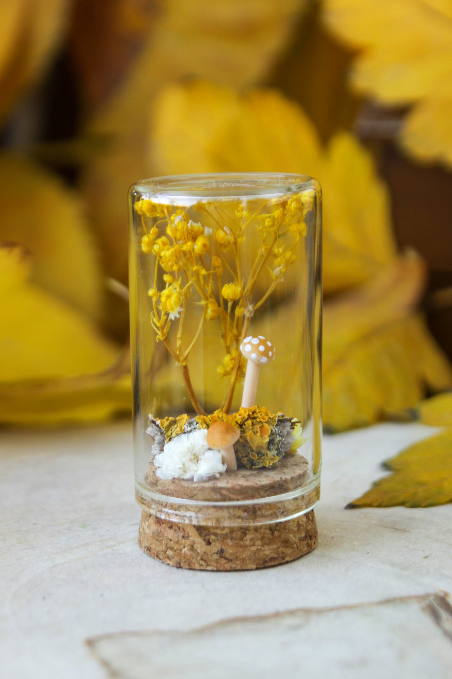 Yellow Miniature Terrariums
