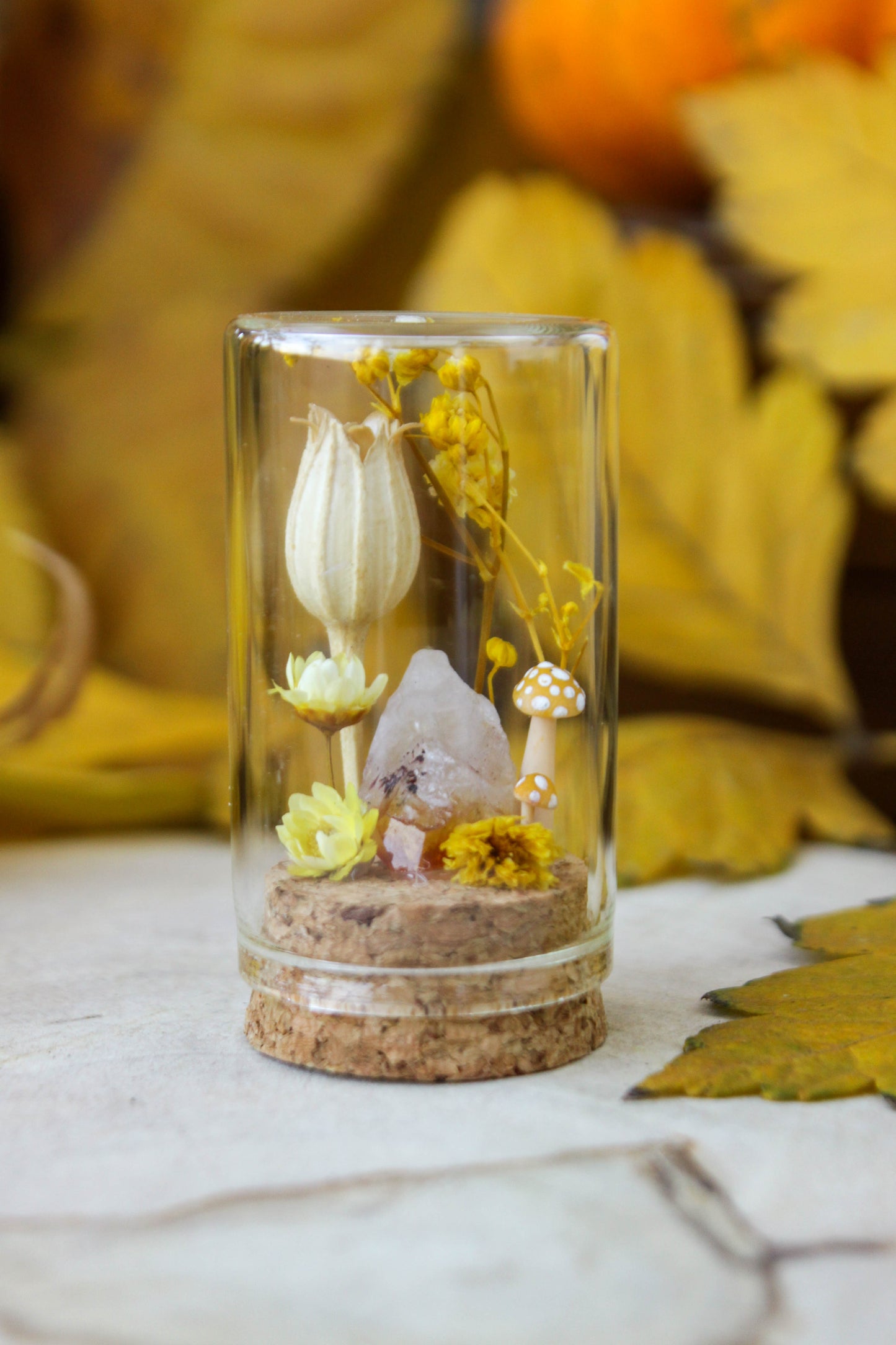 Yellow Miniature Terrariums