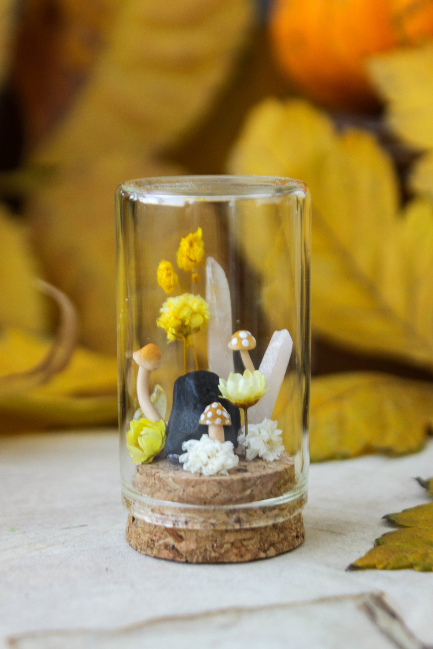 Yellow Miniature Terrariums