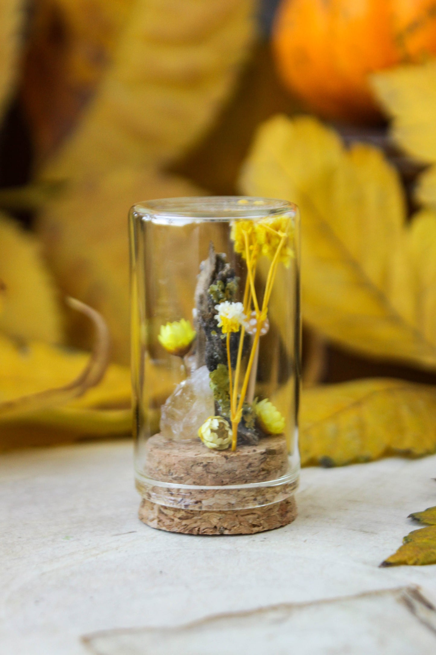 Yellow Miniature Terrariums