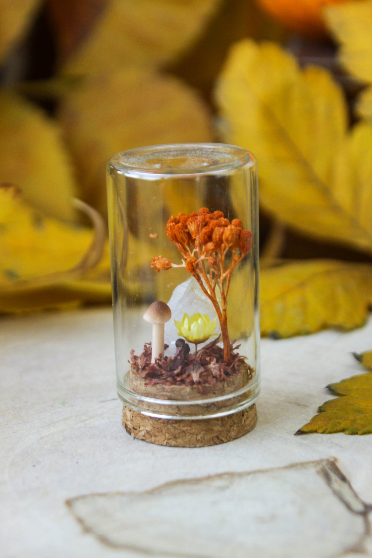 Orange Miniature Terrariums