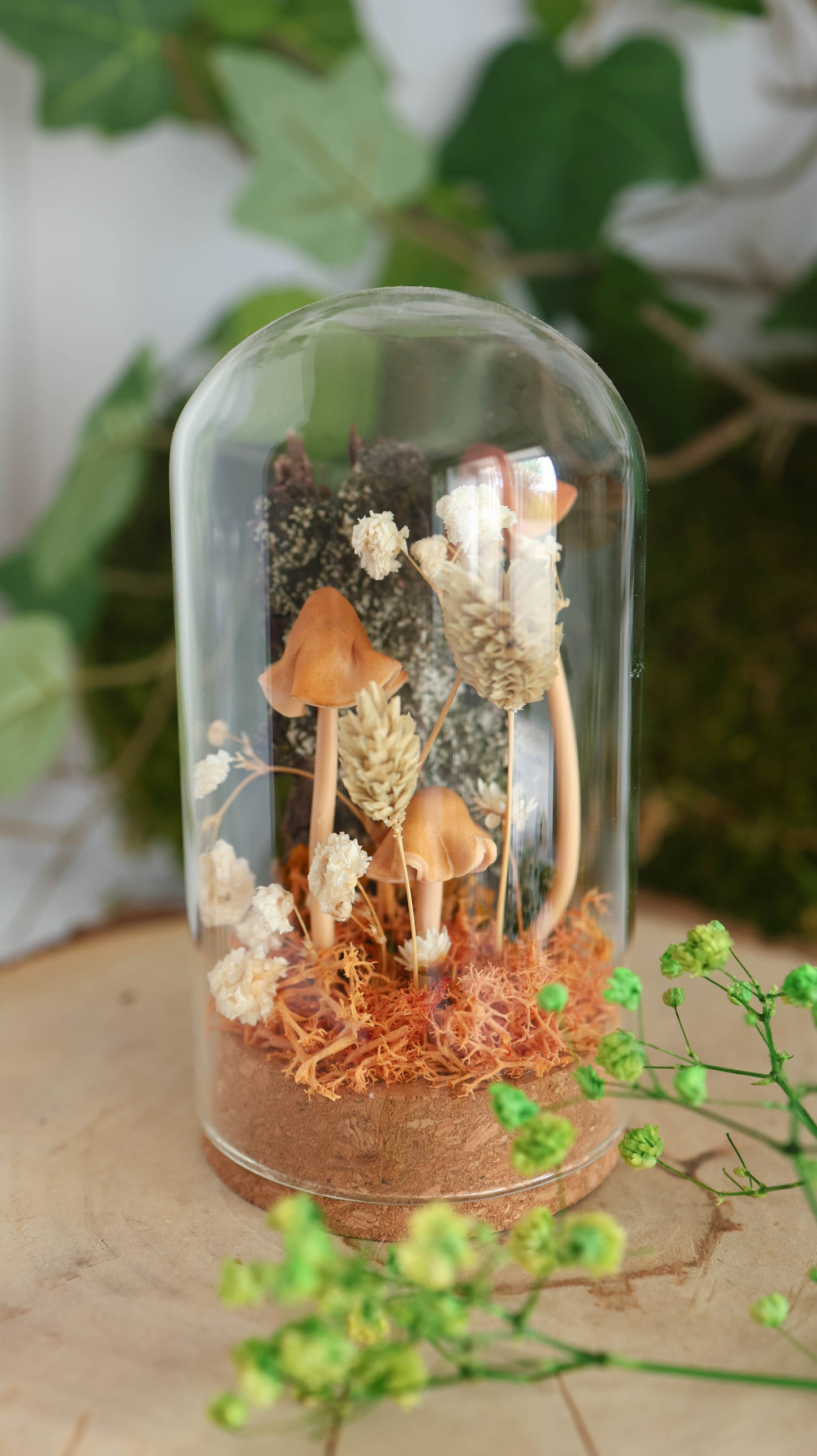 Brown Forest Mushroom Terrarium