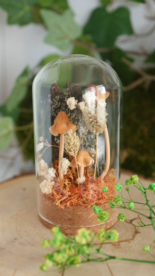 Brown Forest Mushroom Terrarium