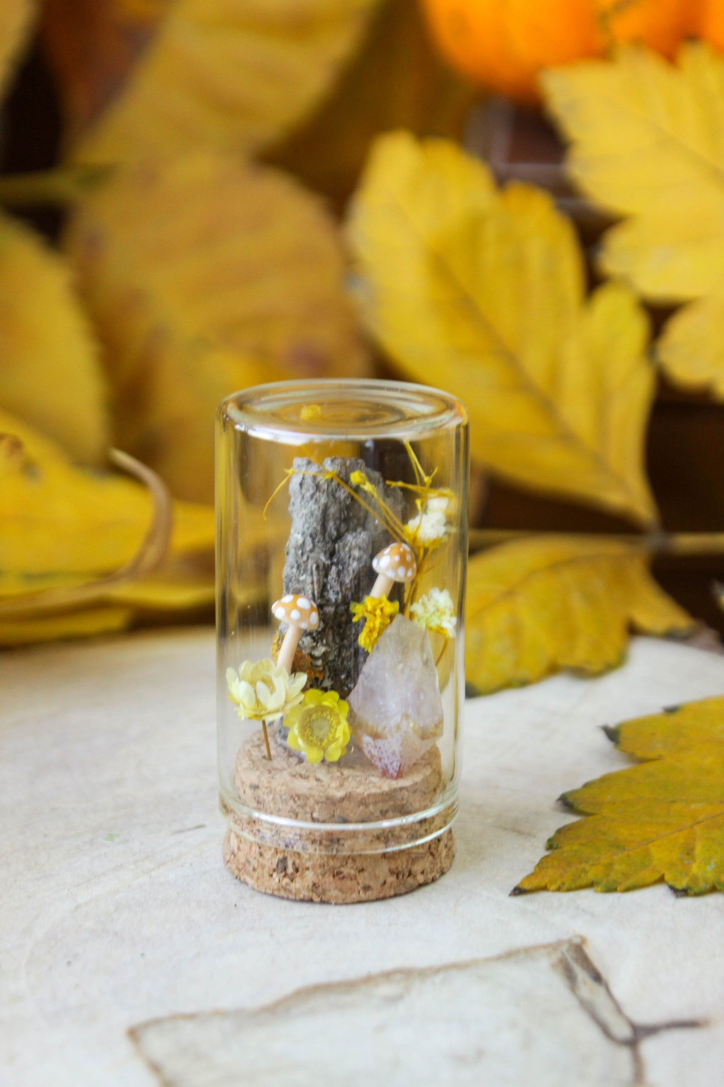 Yellow Miniature Terrariums