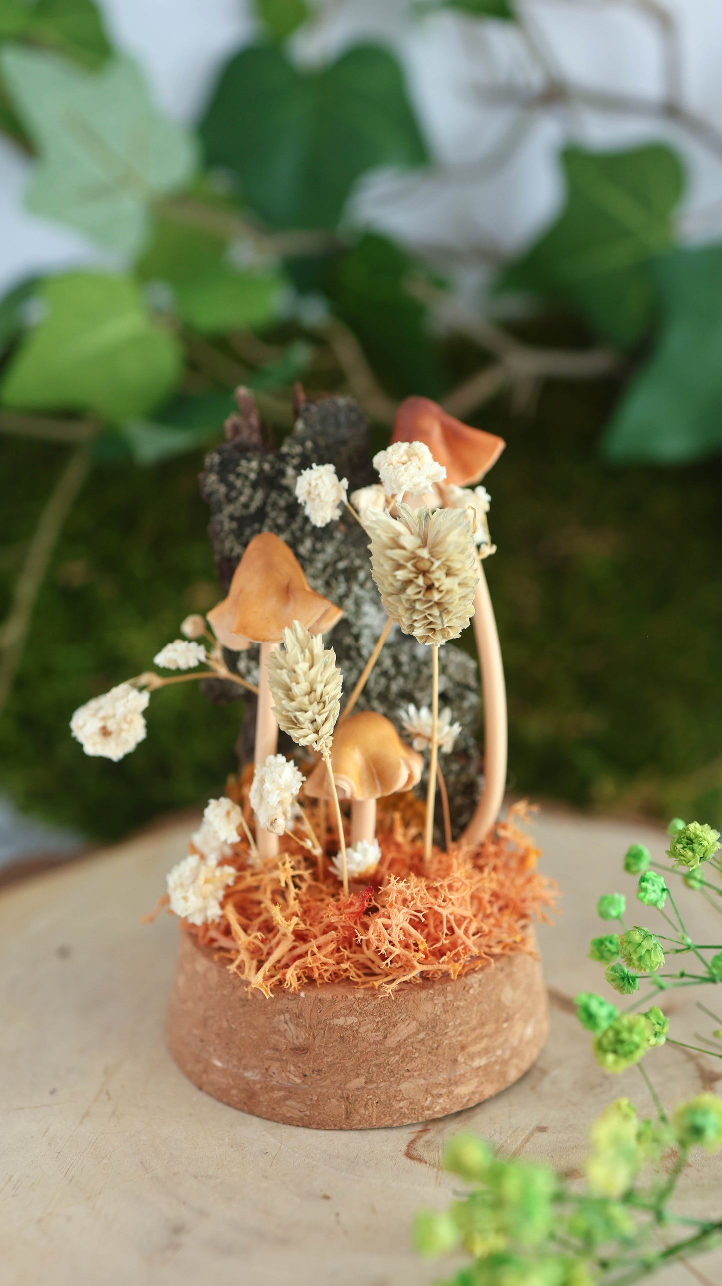 Brown Forest Mushroom Terrarium