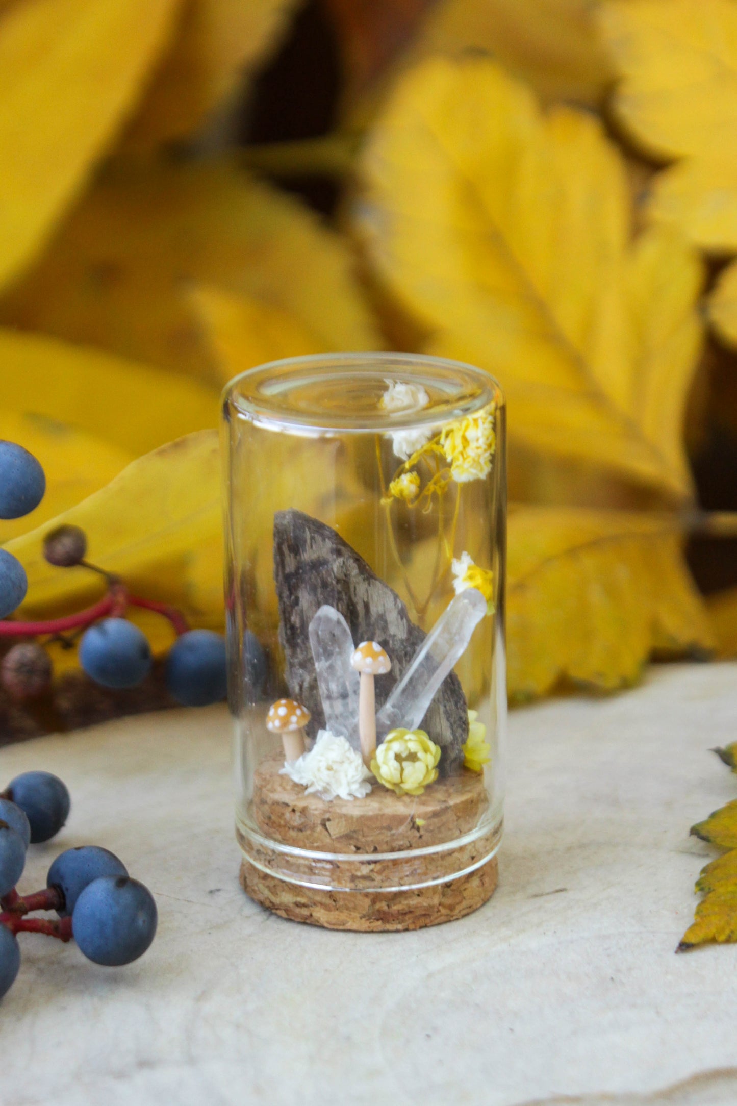 Yellow Miniature Terrariums