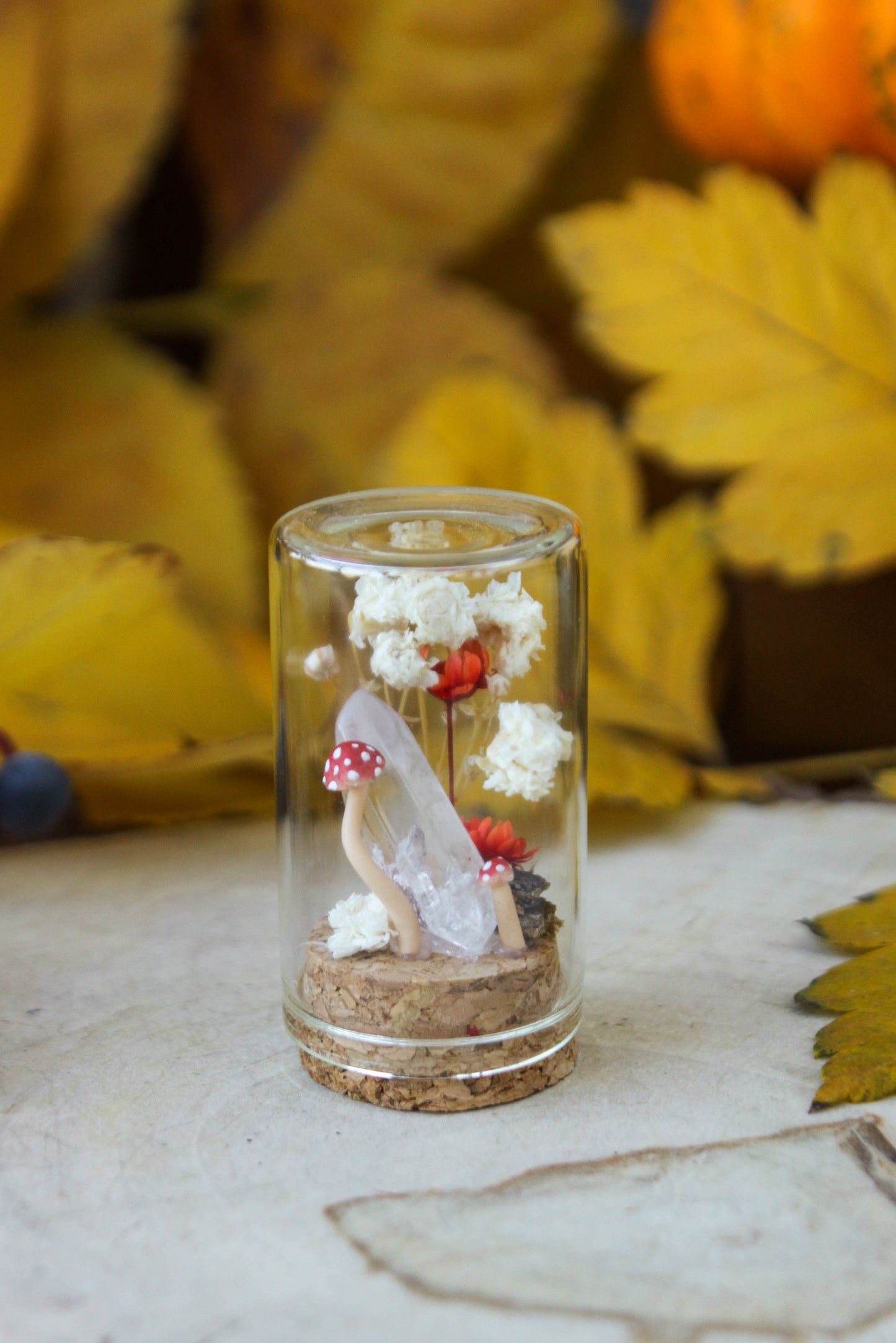Red Miniature Terrariums