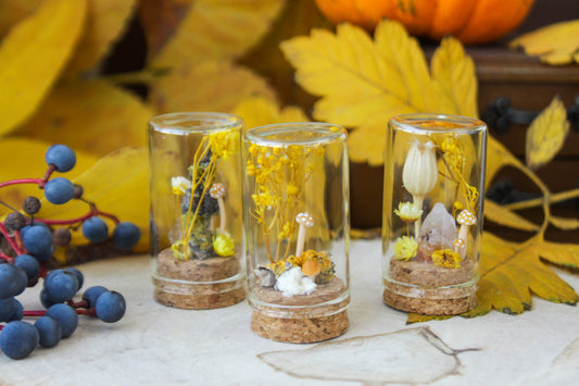 Yellow Miniature Terrariums