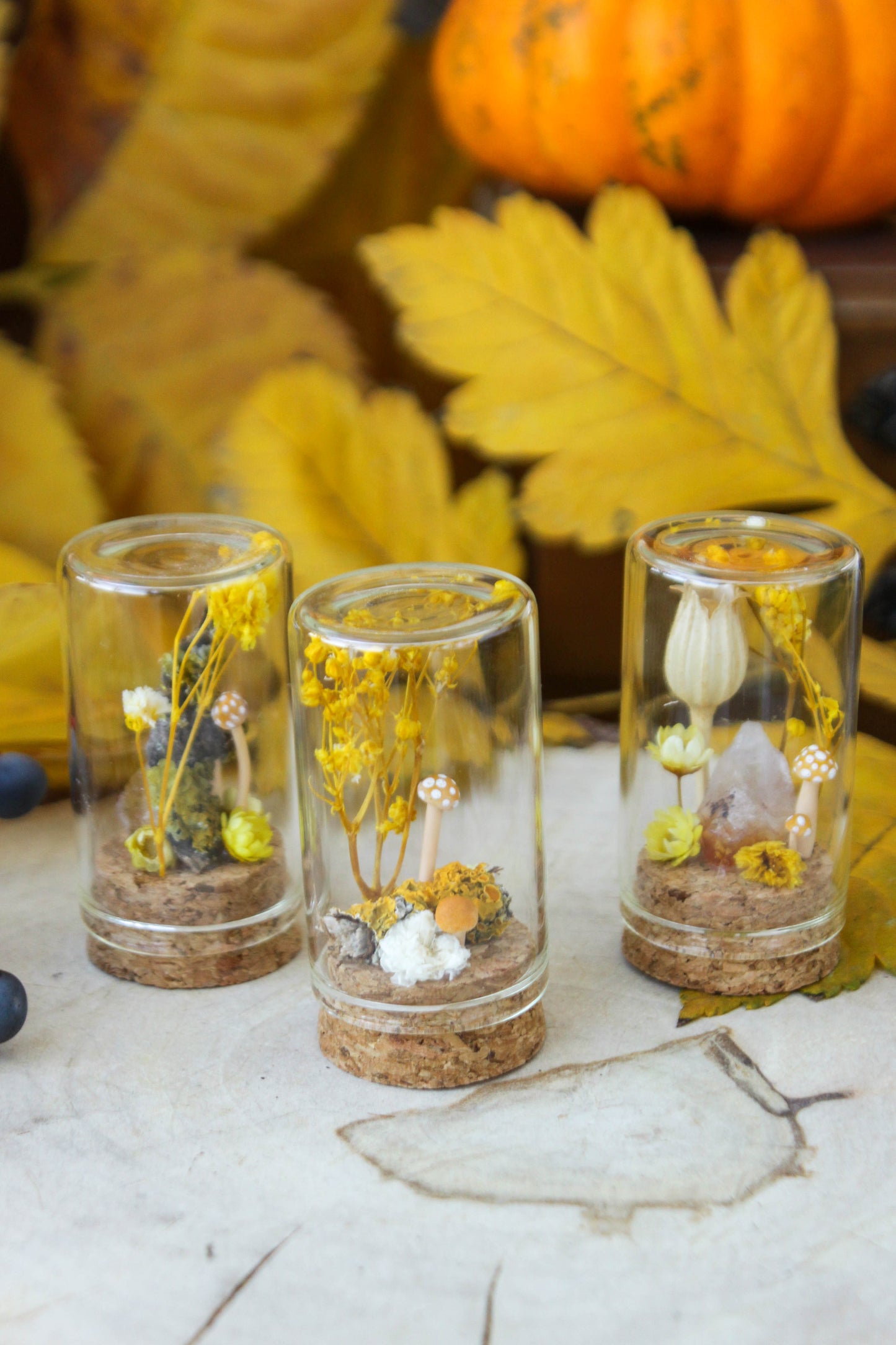 Yellow Miniature Terrariums