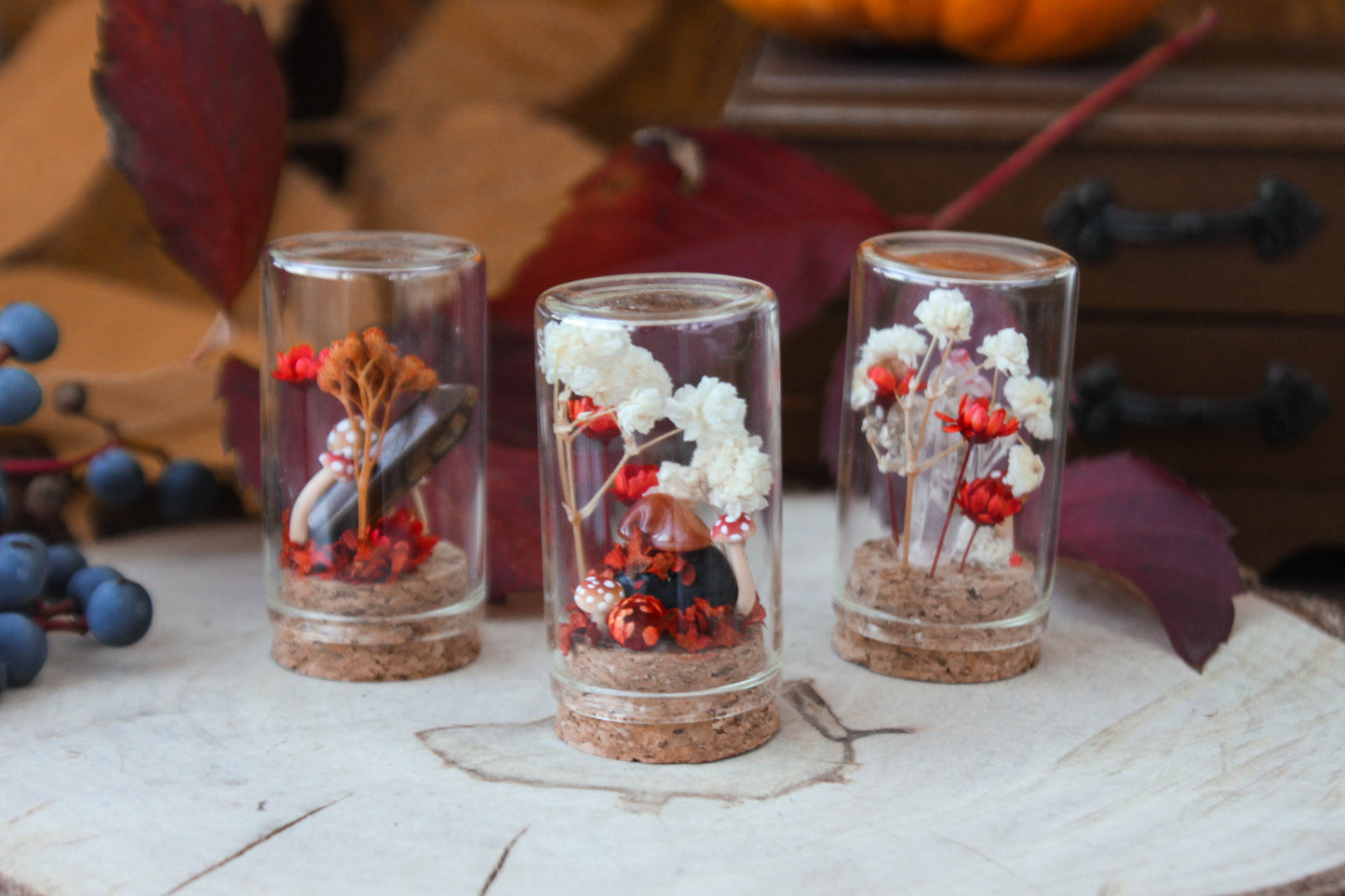 Red Miniature Terrariums