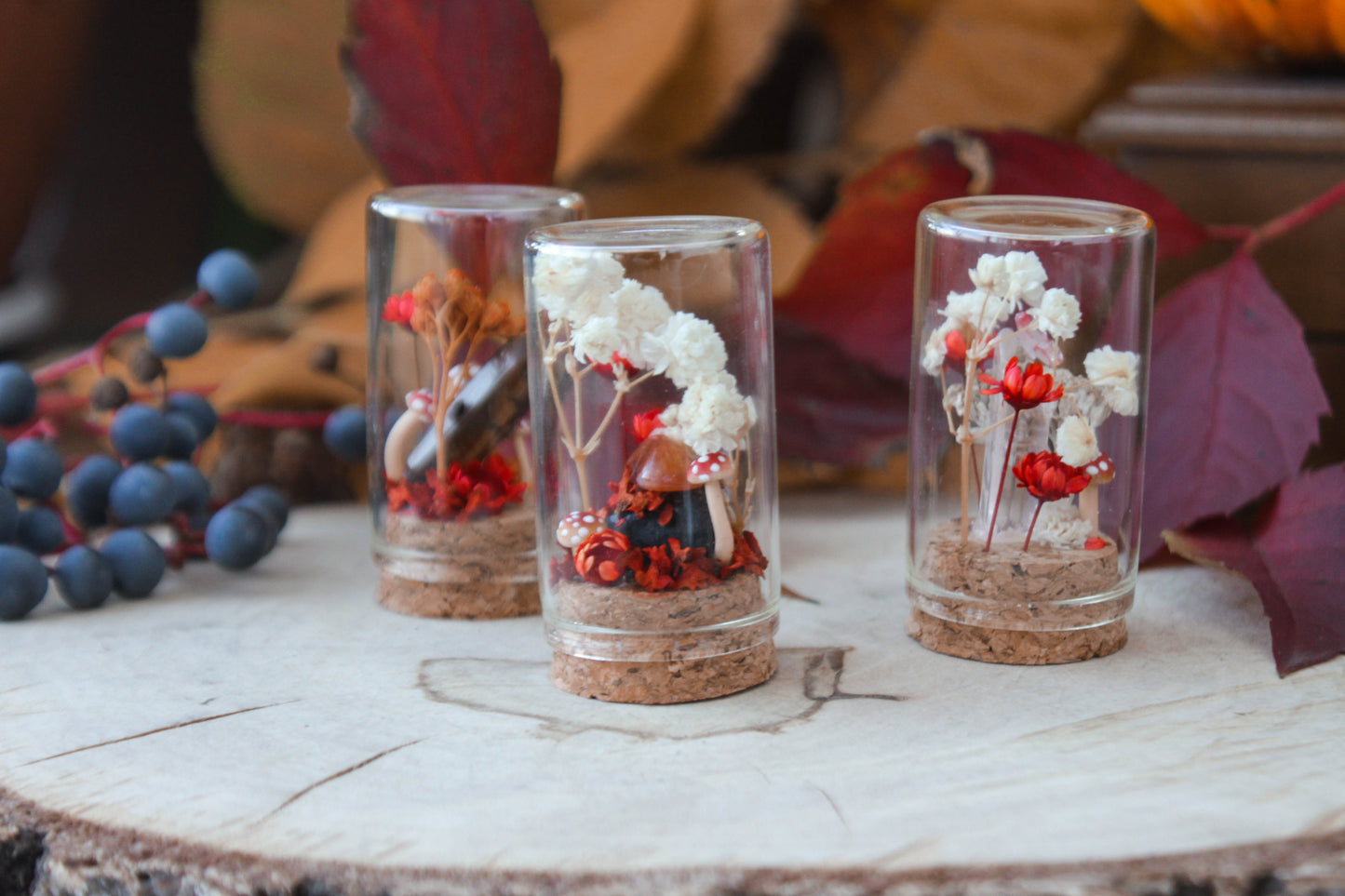 Red Miniature Terrariums