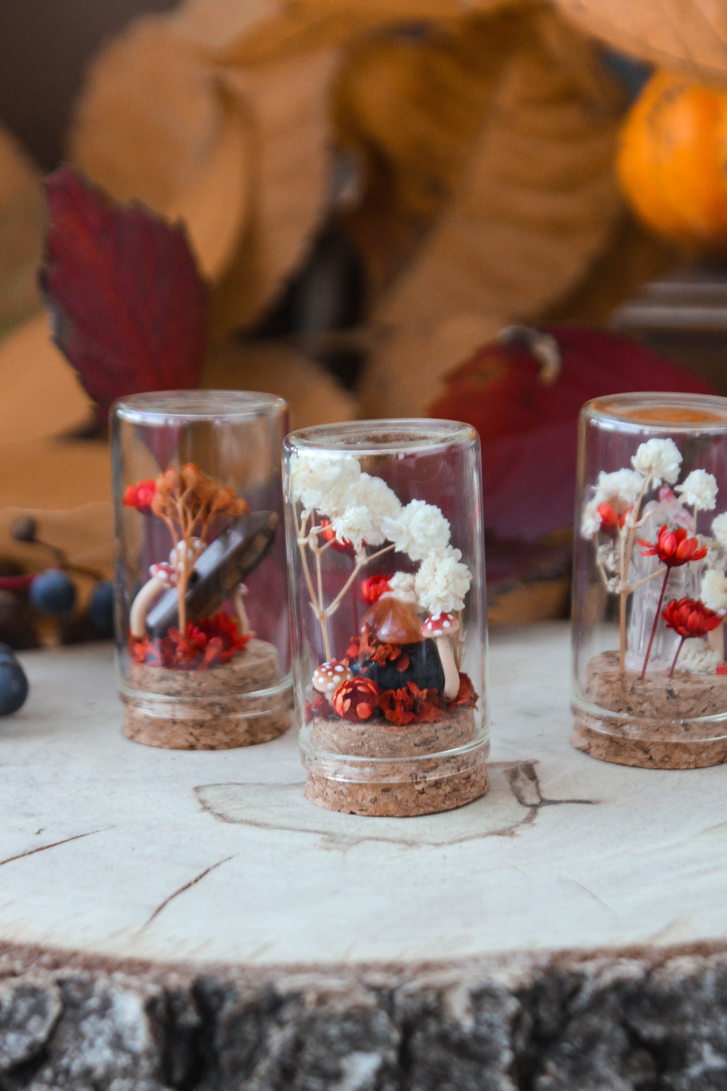 Red Miniature Terrariums