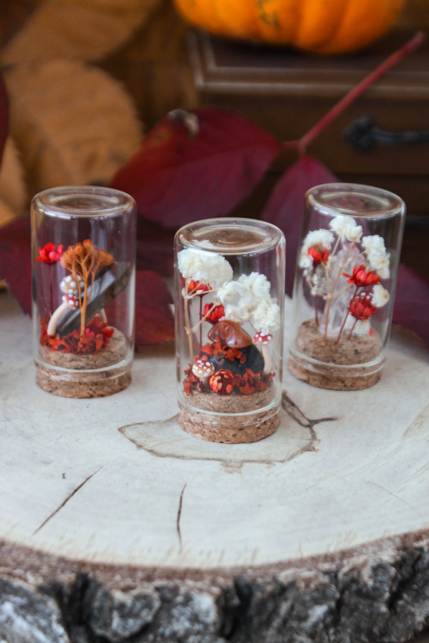 Red Miniature Terrariums