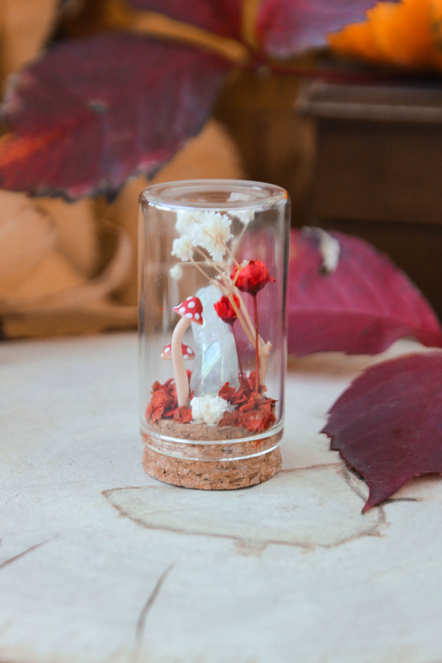 Red Miniature Terrariums