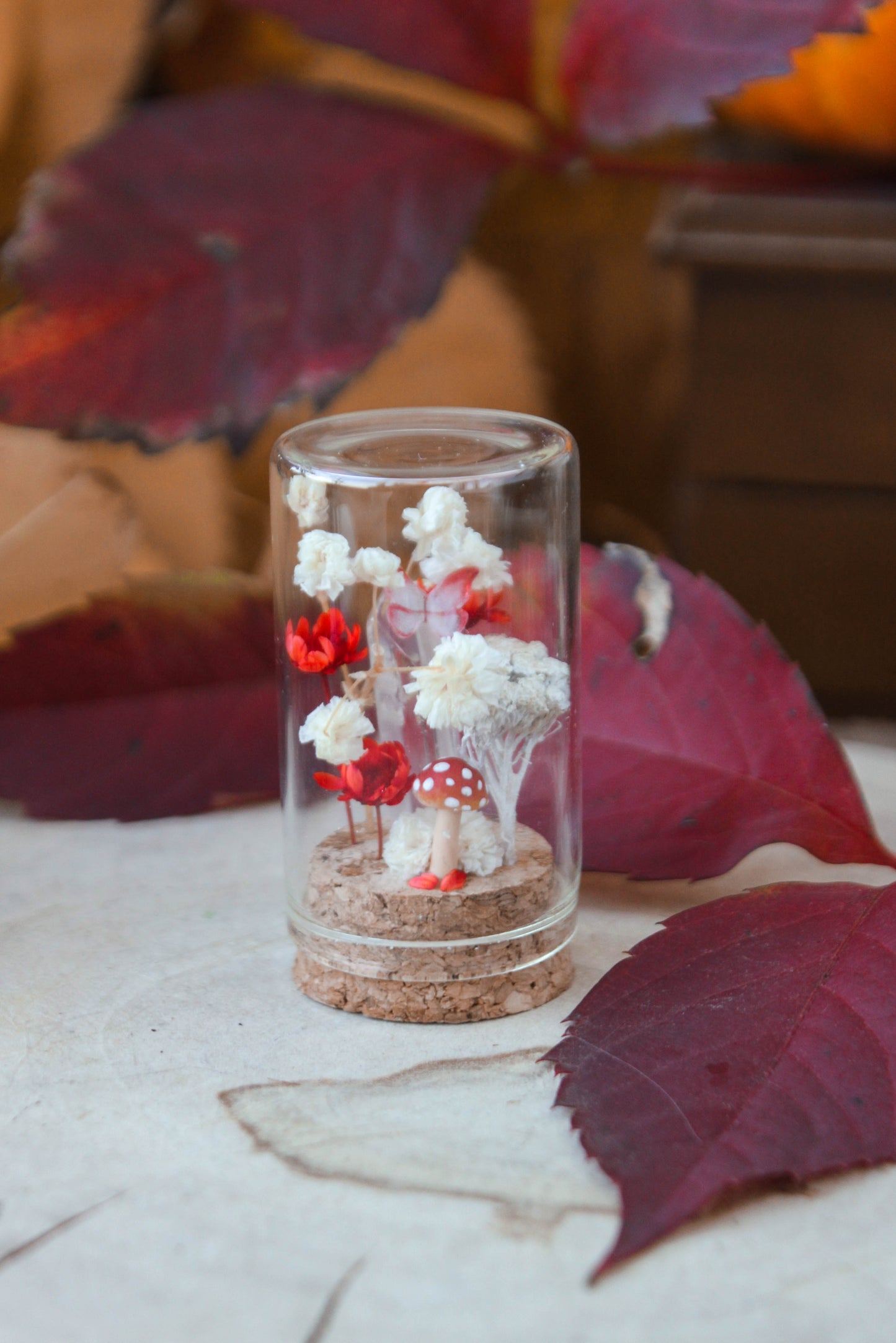 Red Miniature Terrariums