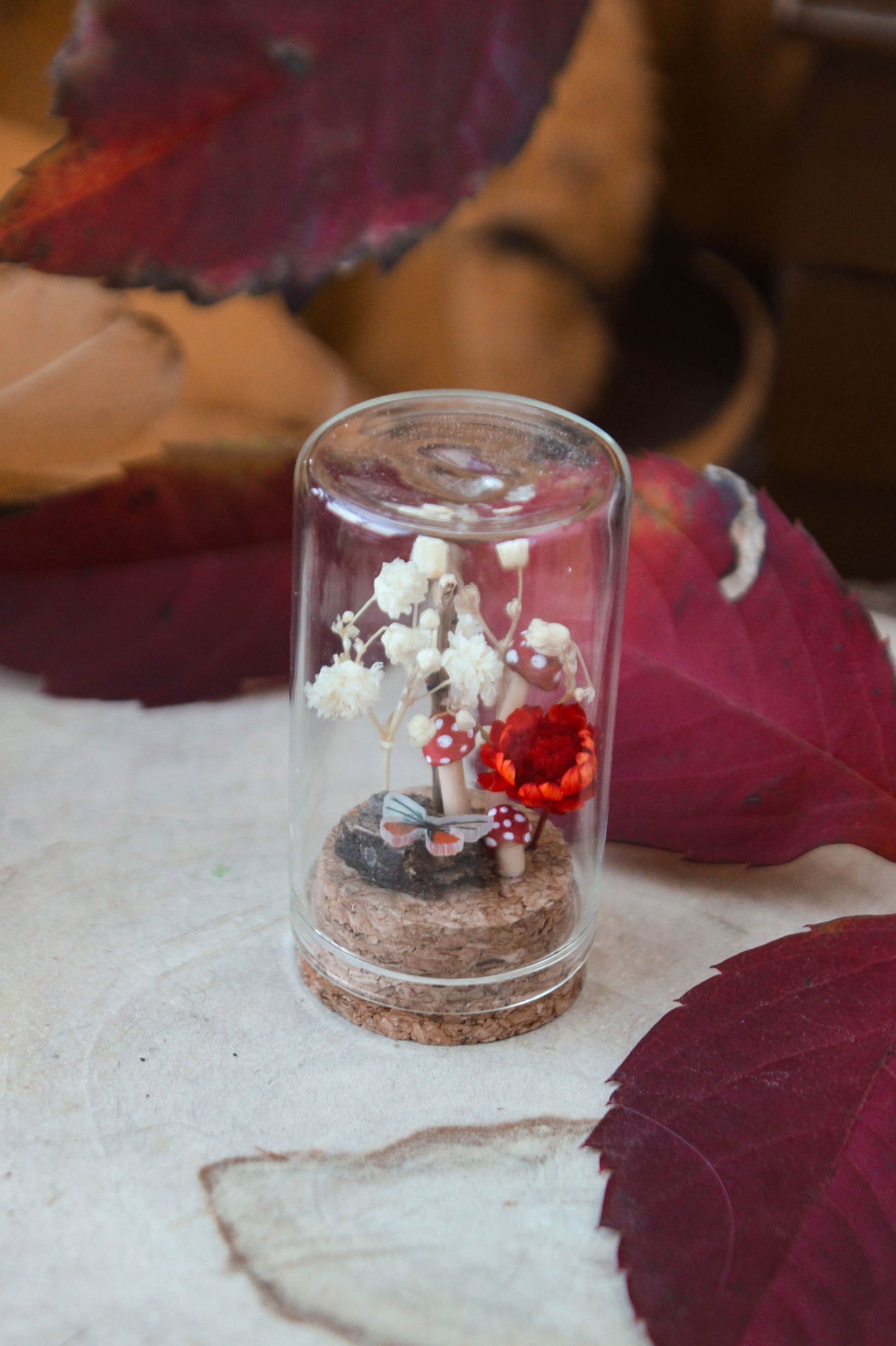 Red Miniature Terrariums