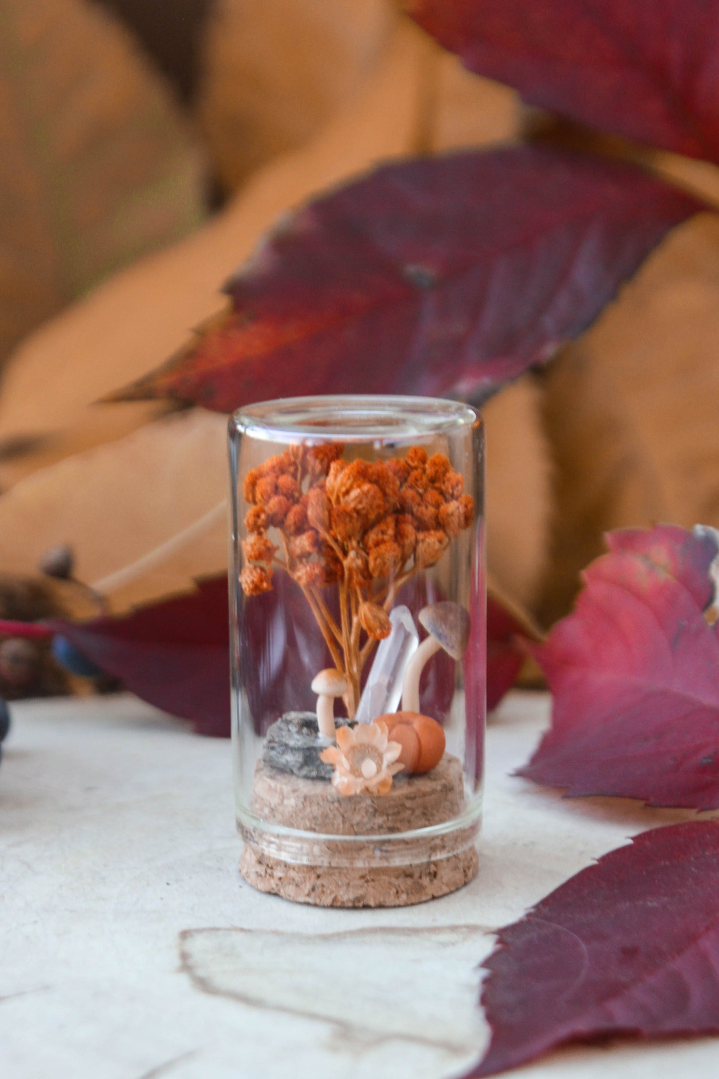 Orange Miniature Terrariums