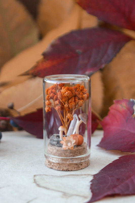 Orange Miniature Terrariums