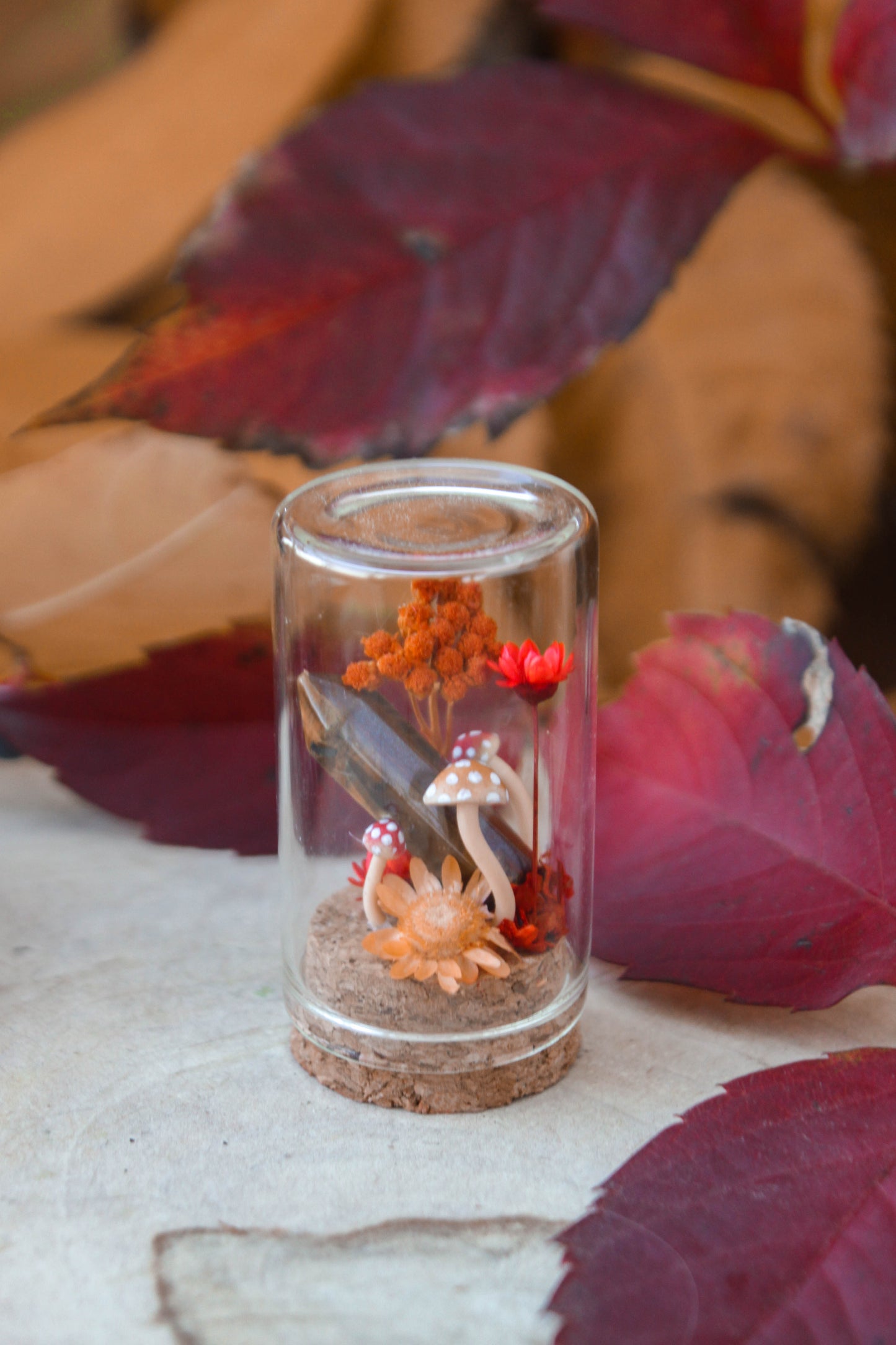 Red Miniature Terrariums