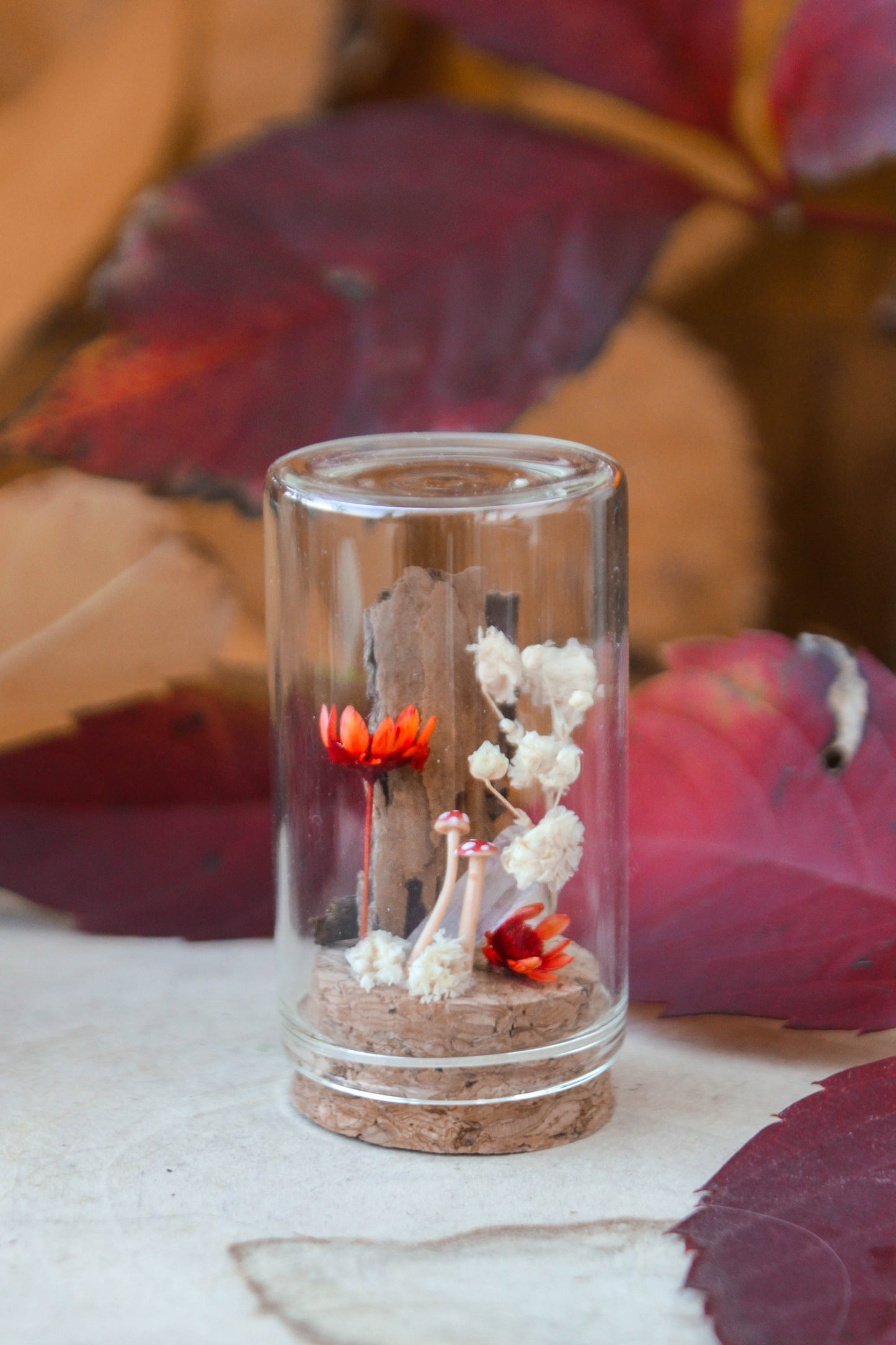 Red Miniature Terrariums