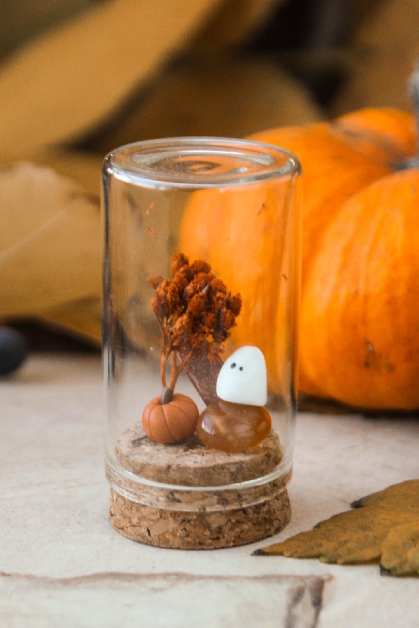 Ghost Miniature Terrariums