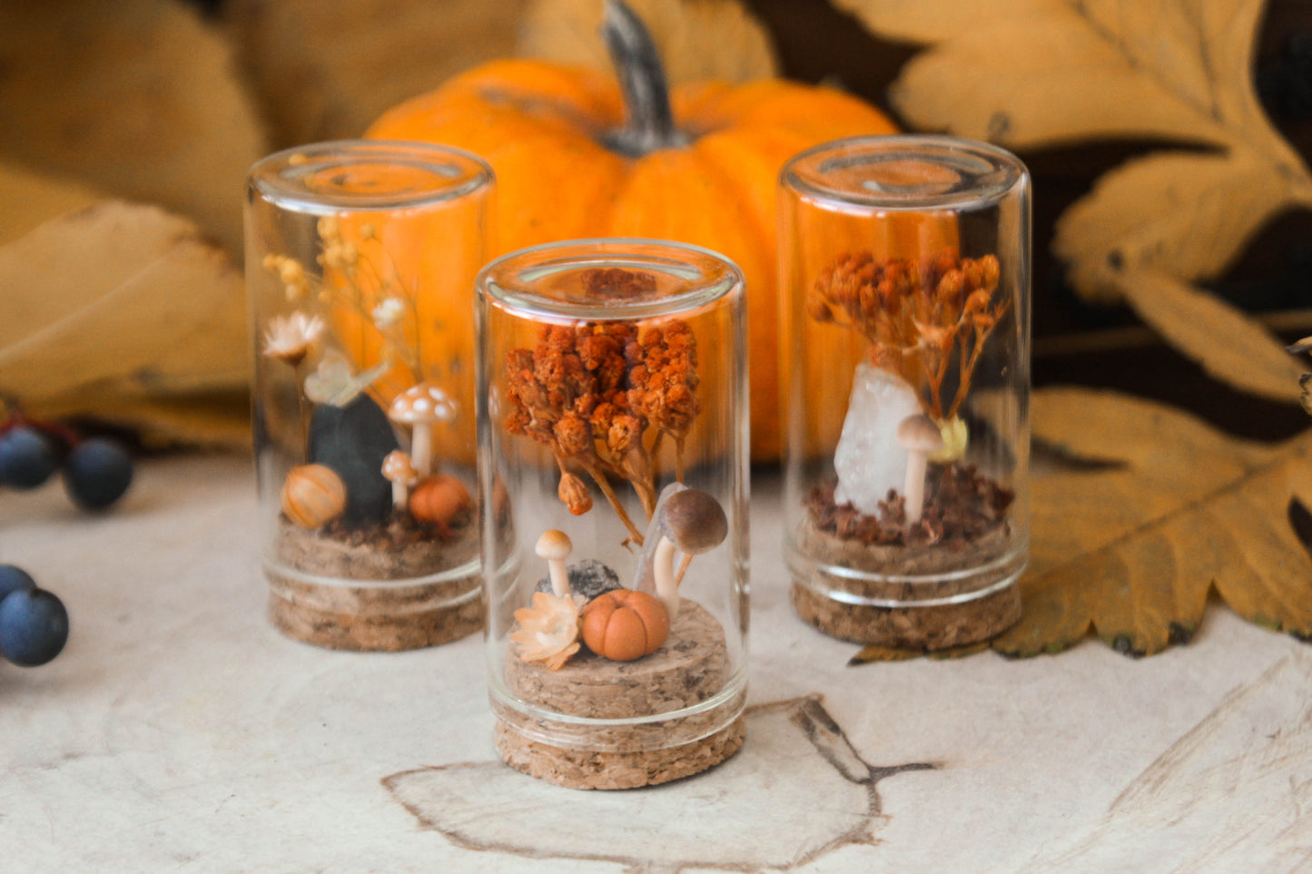 Orange Miniature Terrariums