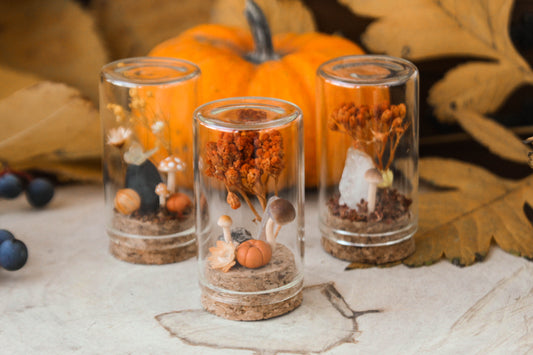 Orange Miniature Terrariums