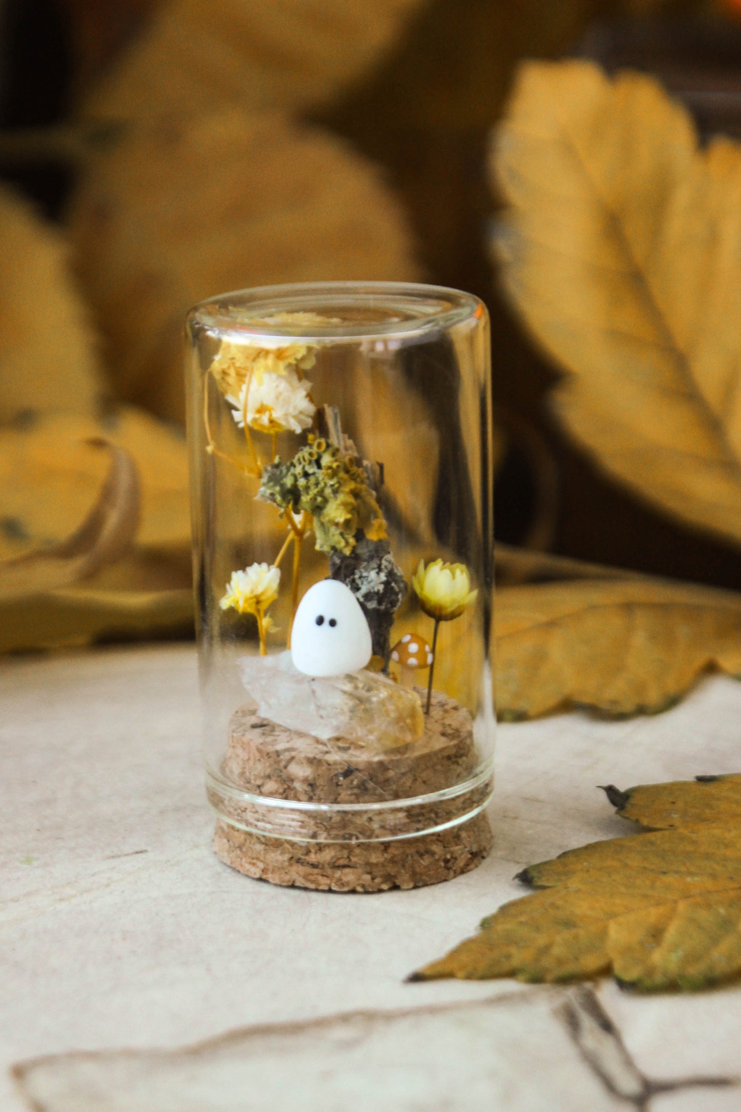 Ghost Miniature Terrariums