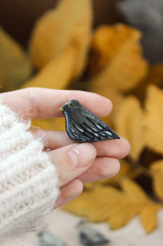 Blackbird pin