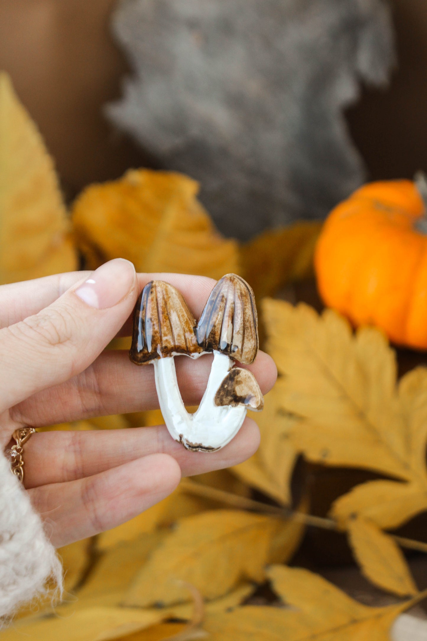 Brown Mushroom Cluster Pin