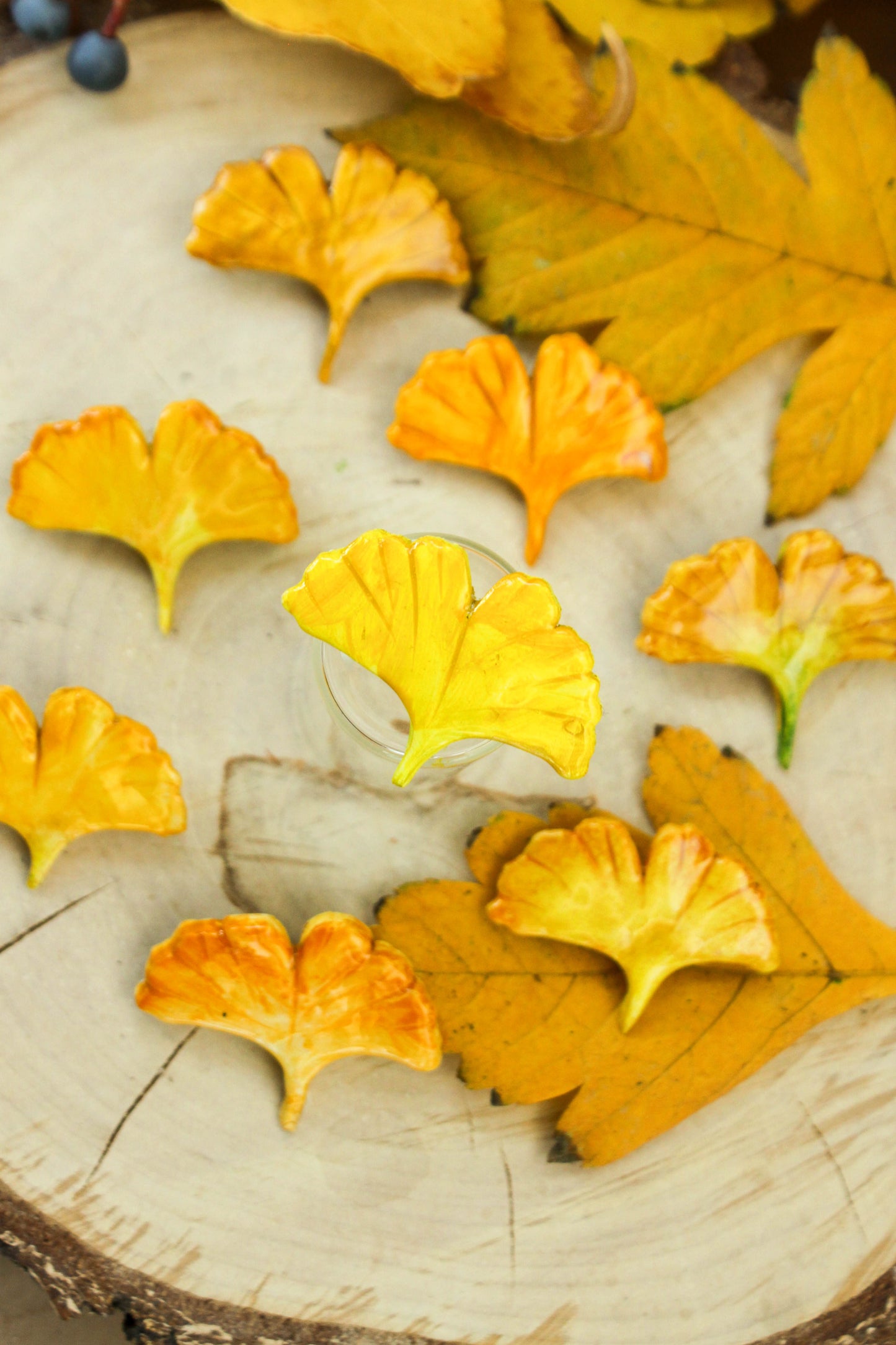 Ginkgo Biloba Leaf Pin