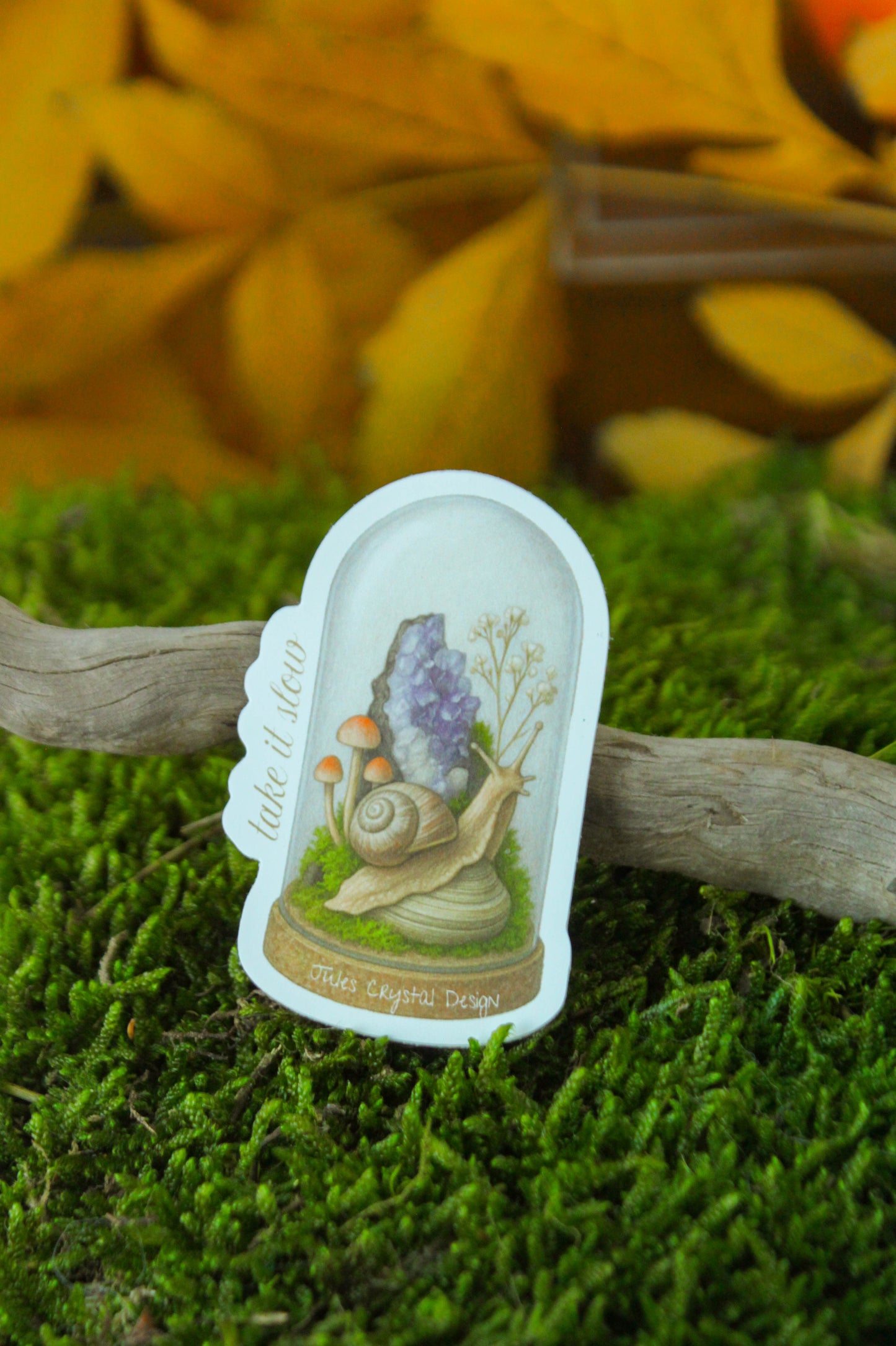 Snail Terrarium Sticker